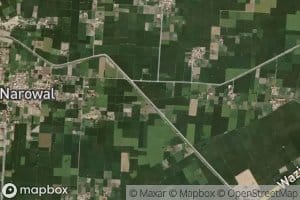 Kot Saiyyid Muhammad Minor