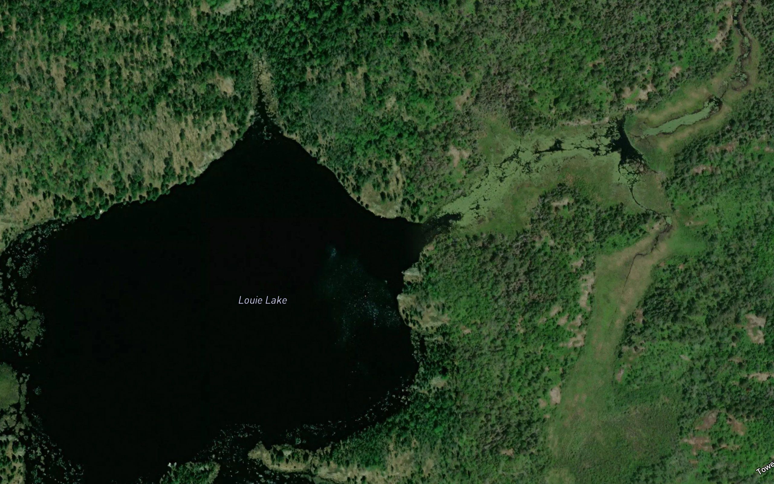 Louie Lake