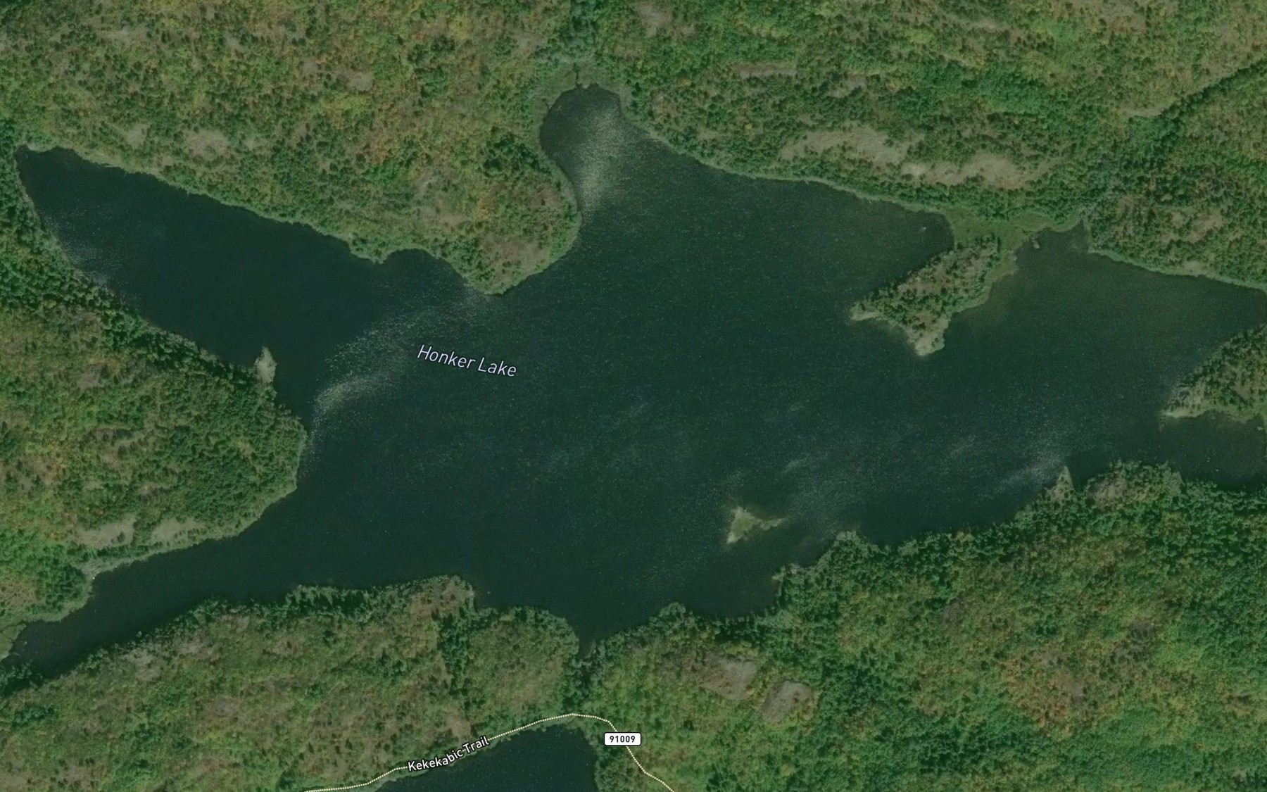 Satellite map of the Honker Lake
