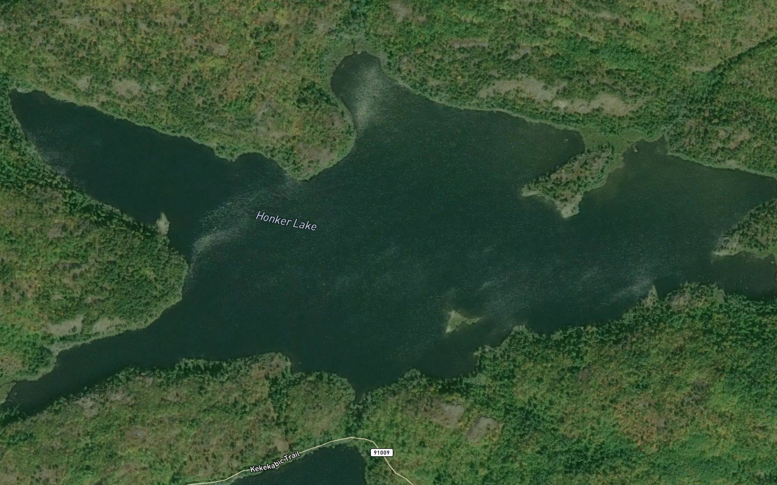 Honker Lake