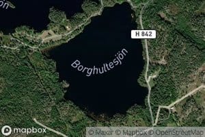 Borghultesjon