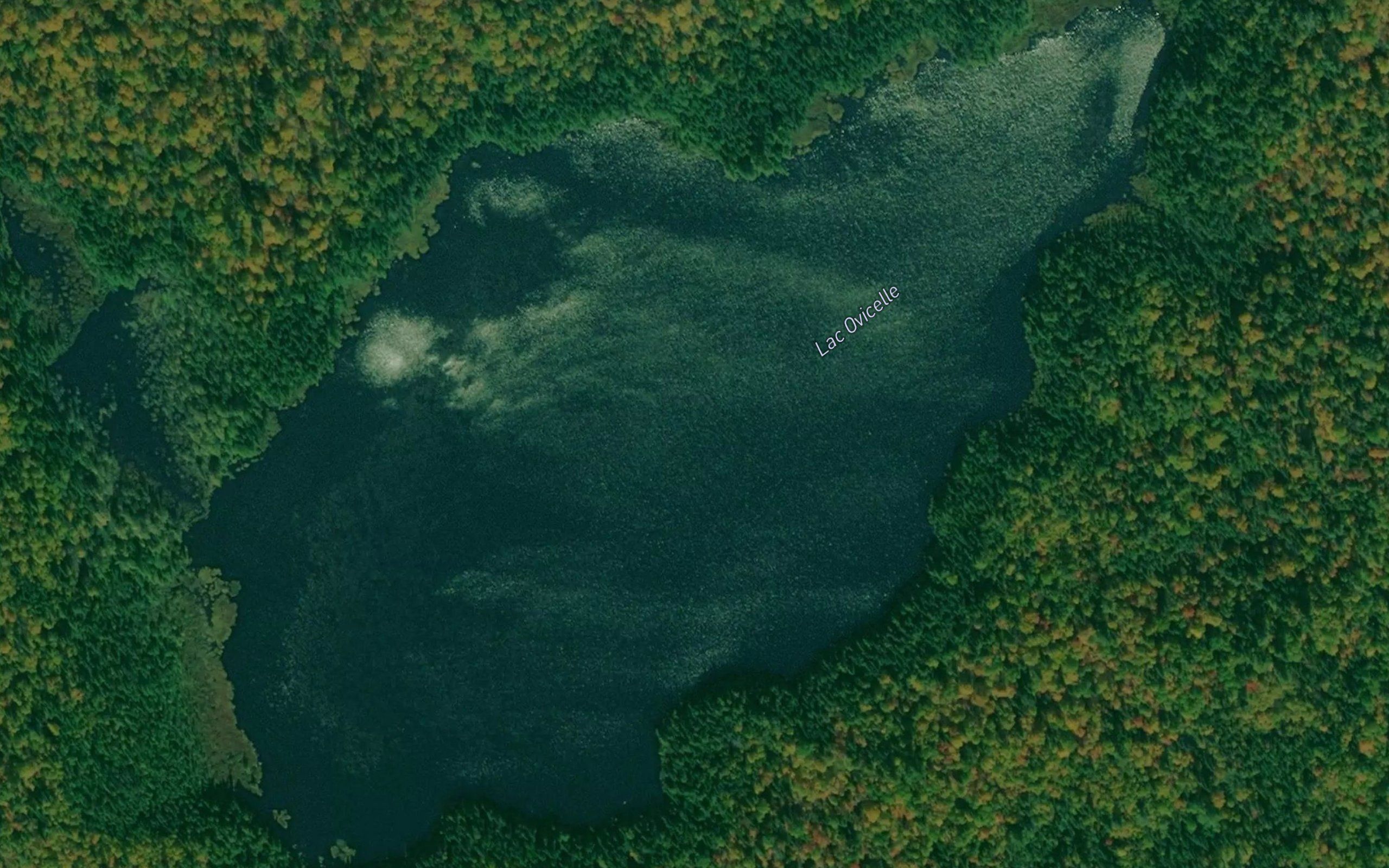 Lac Ovicelle