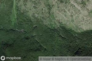 South Fork Lion Creek