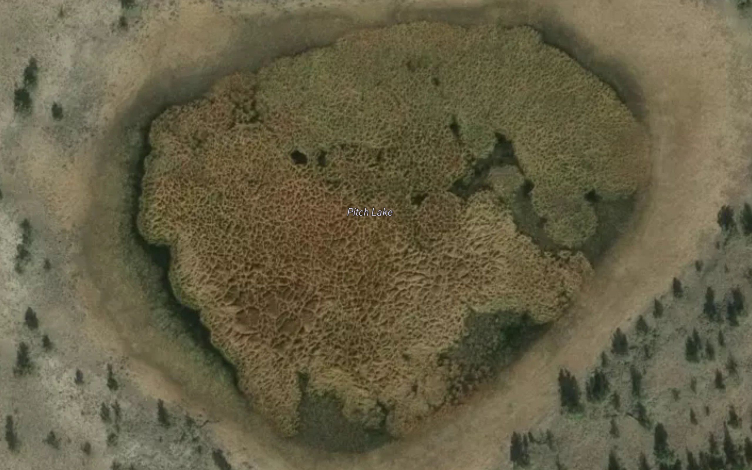 Pitch Lake
