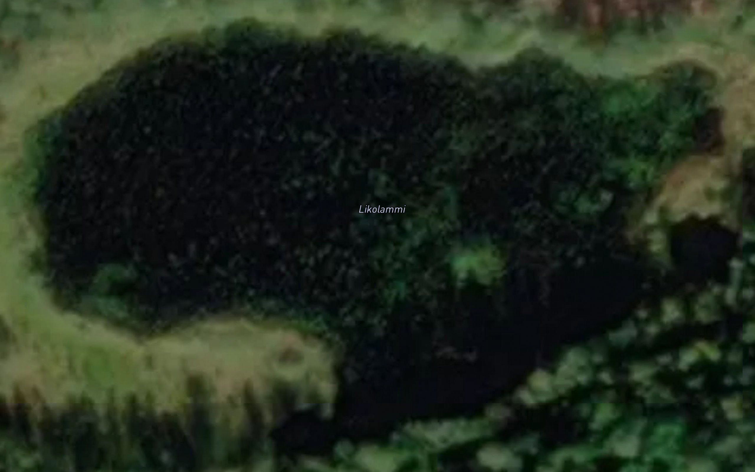 Likolammi