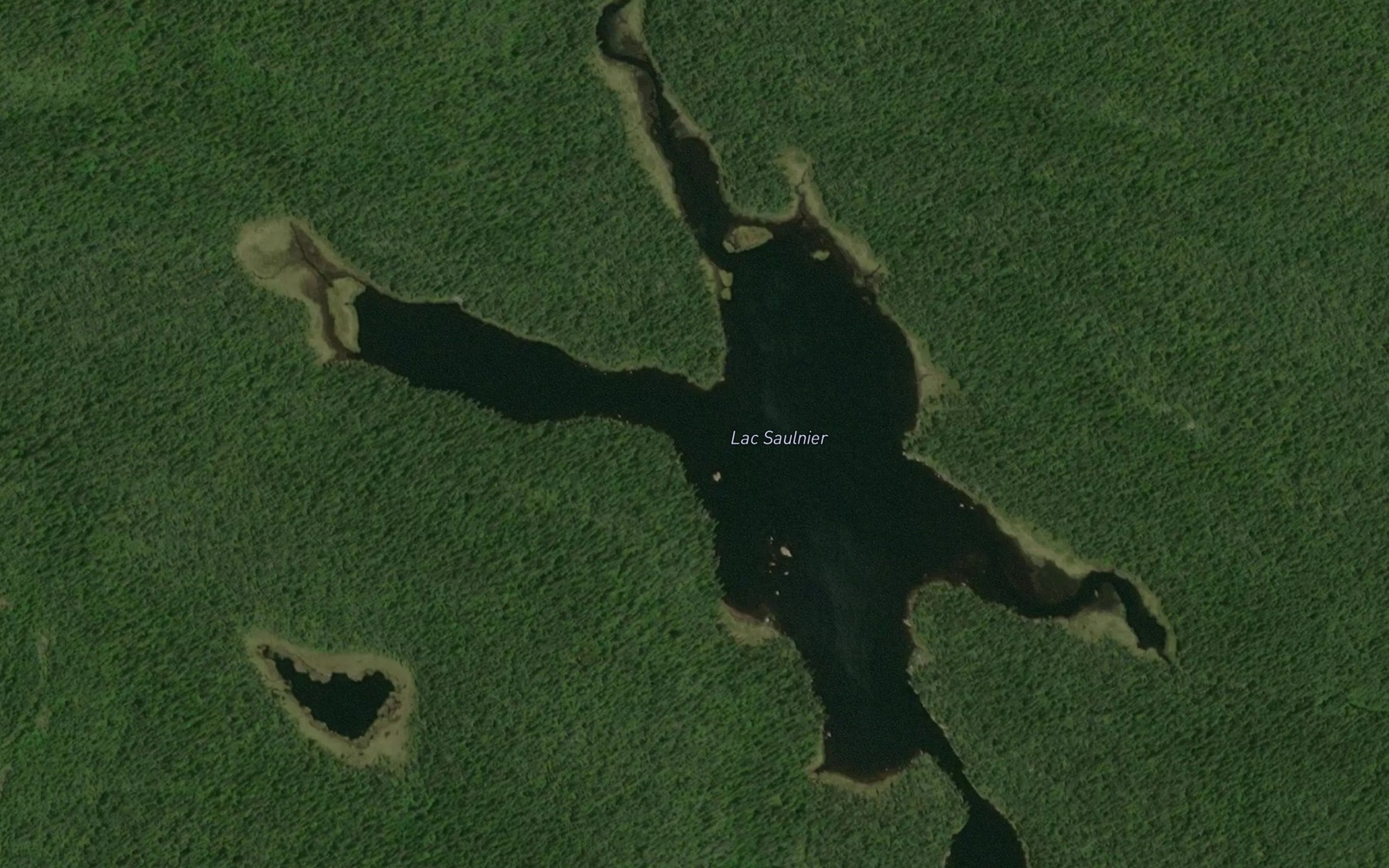 Satellite map of the Lac Saulnier