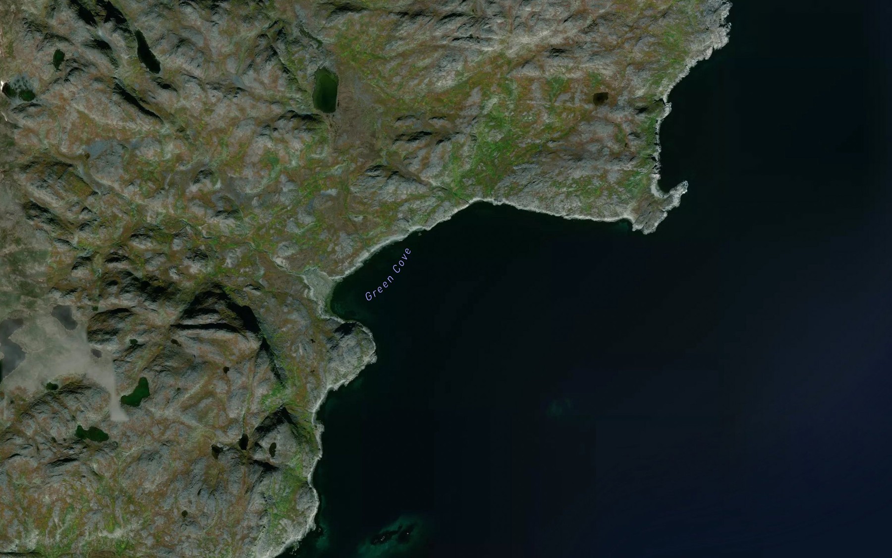 Satellite map of the Green Cove