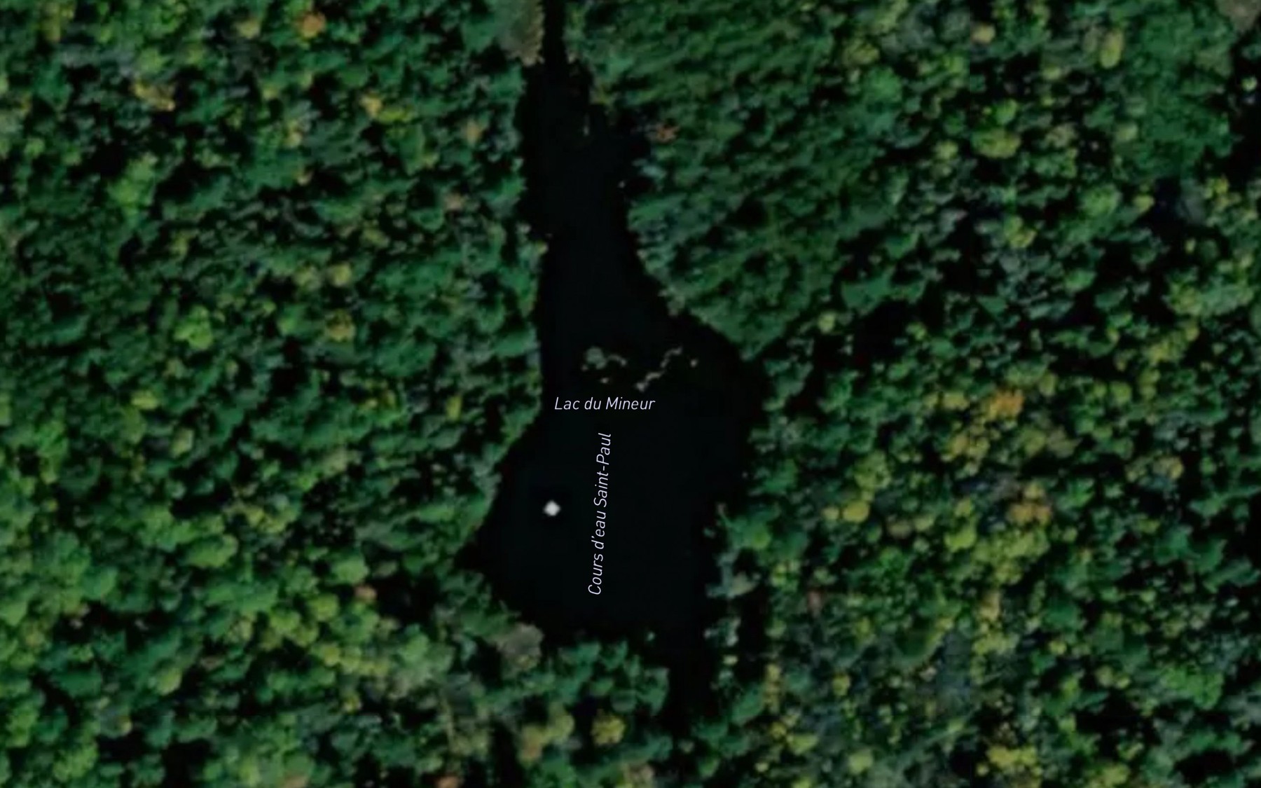 Satellite map of the Lac du Mineur