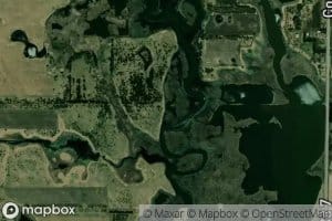 Wildlife Pond