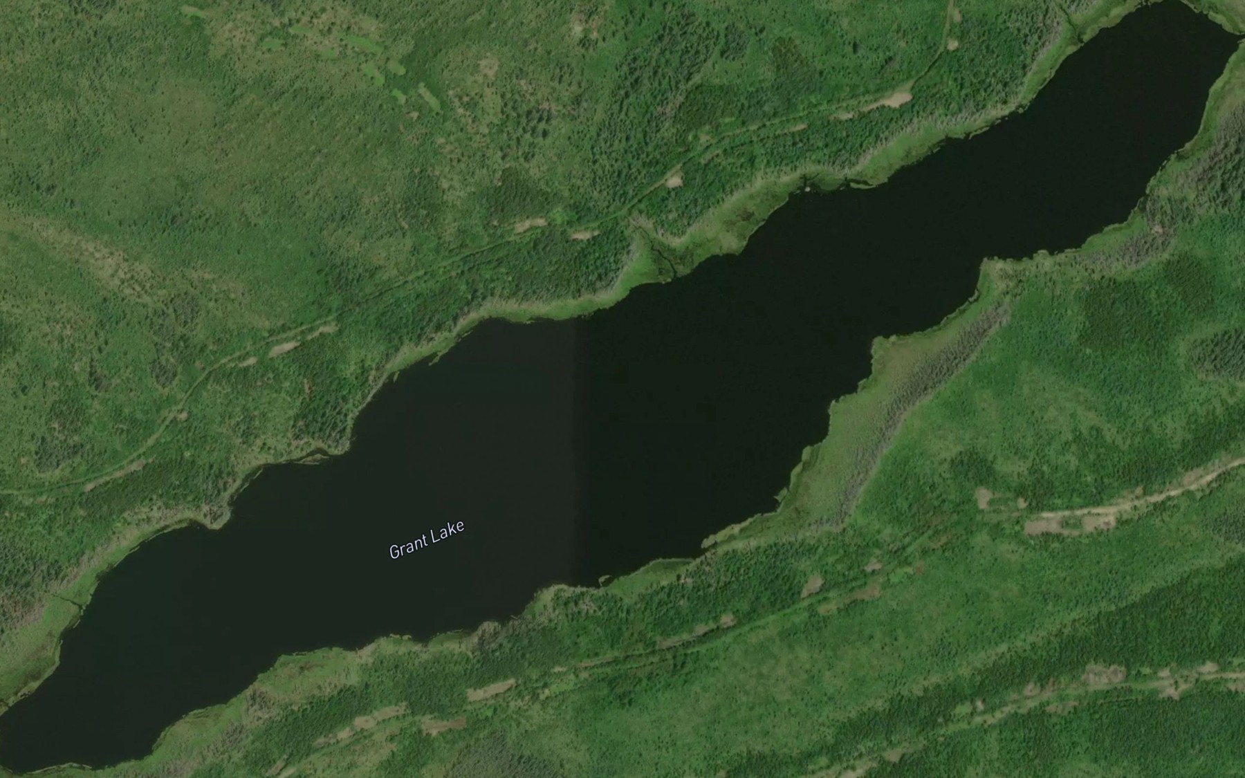 Satellite map of the Grant Lake
