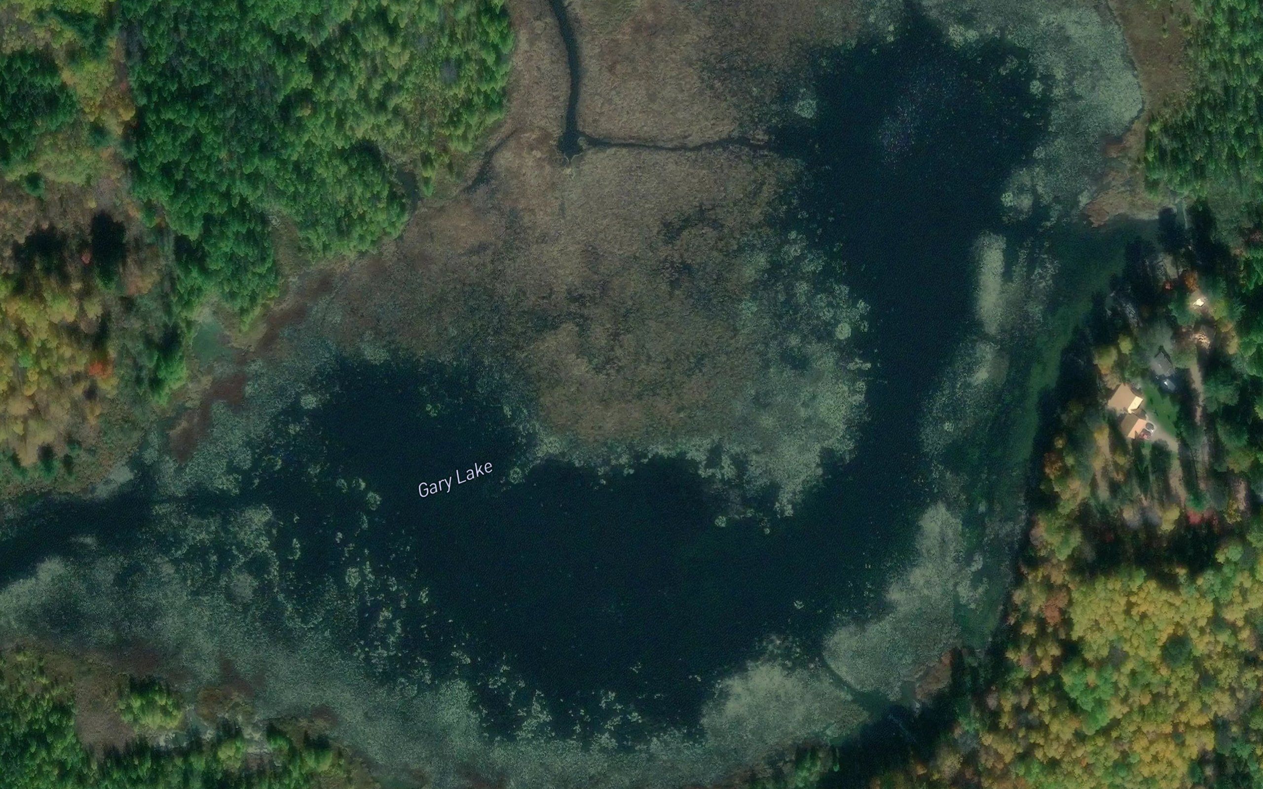Gary Lake