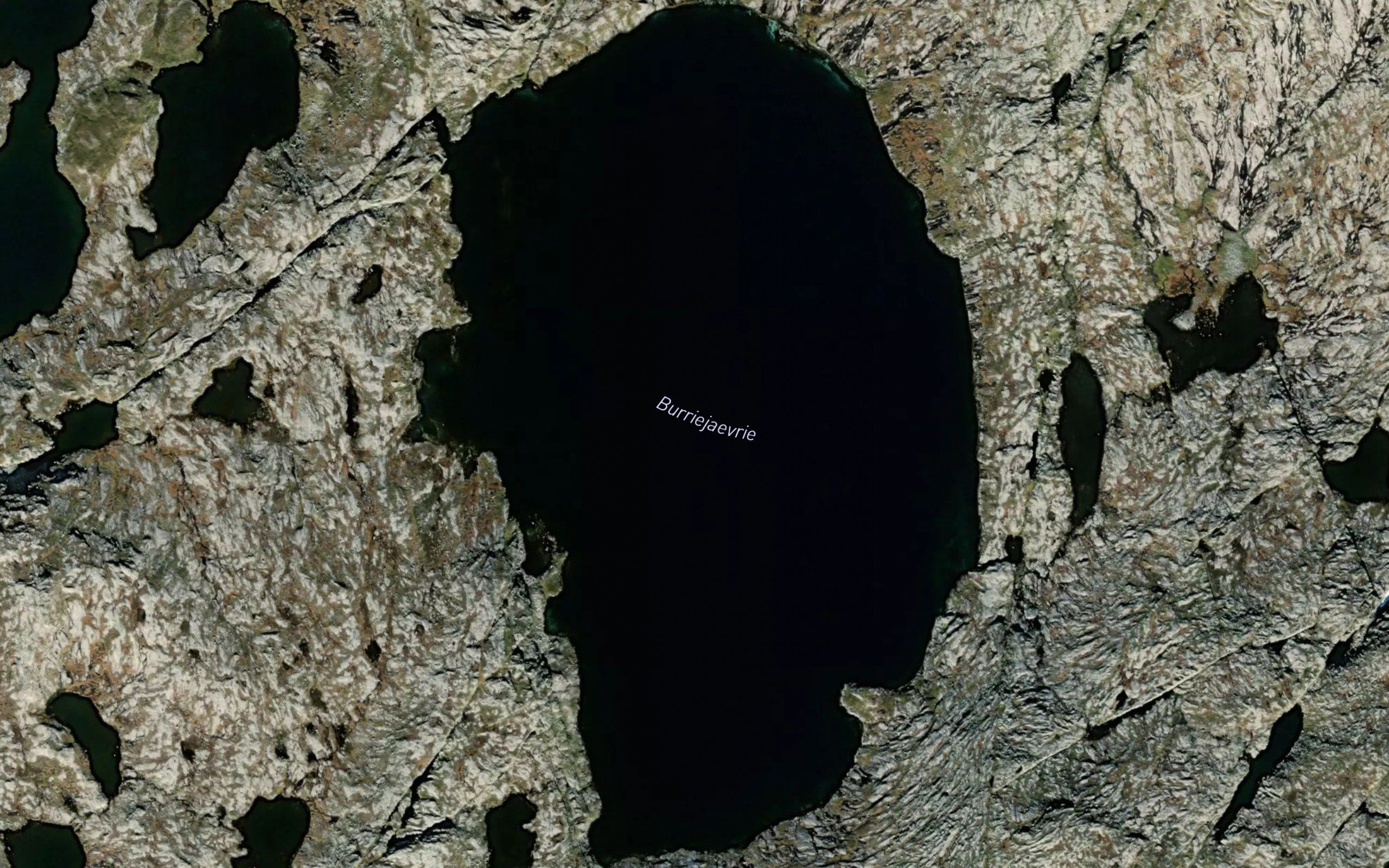 Burriejaevrie