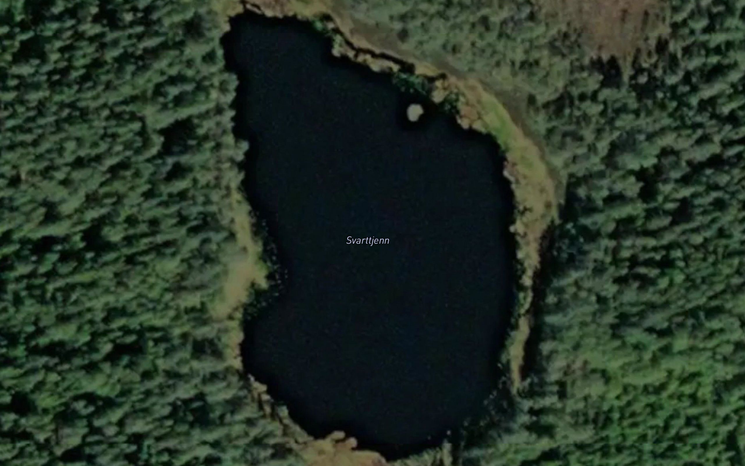 Svarttjern