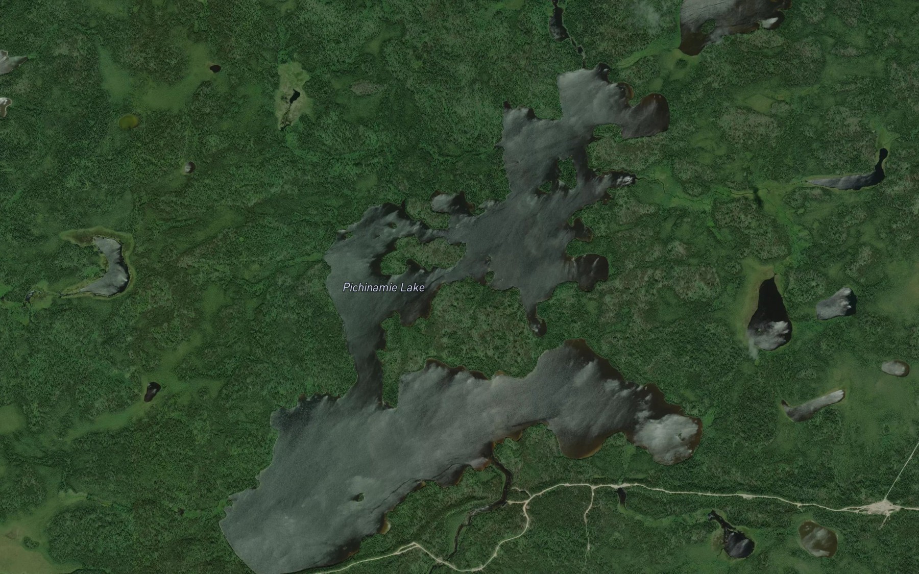 Satellite map of the Pichinamei Lake