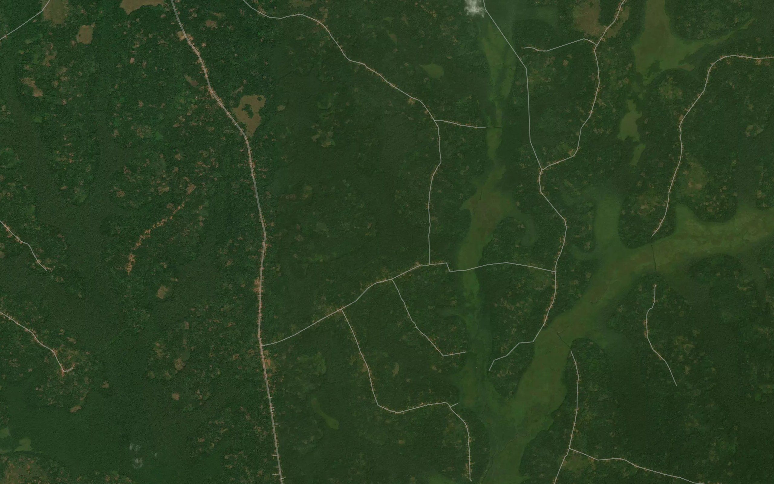 Ngeino