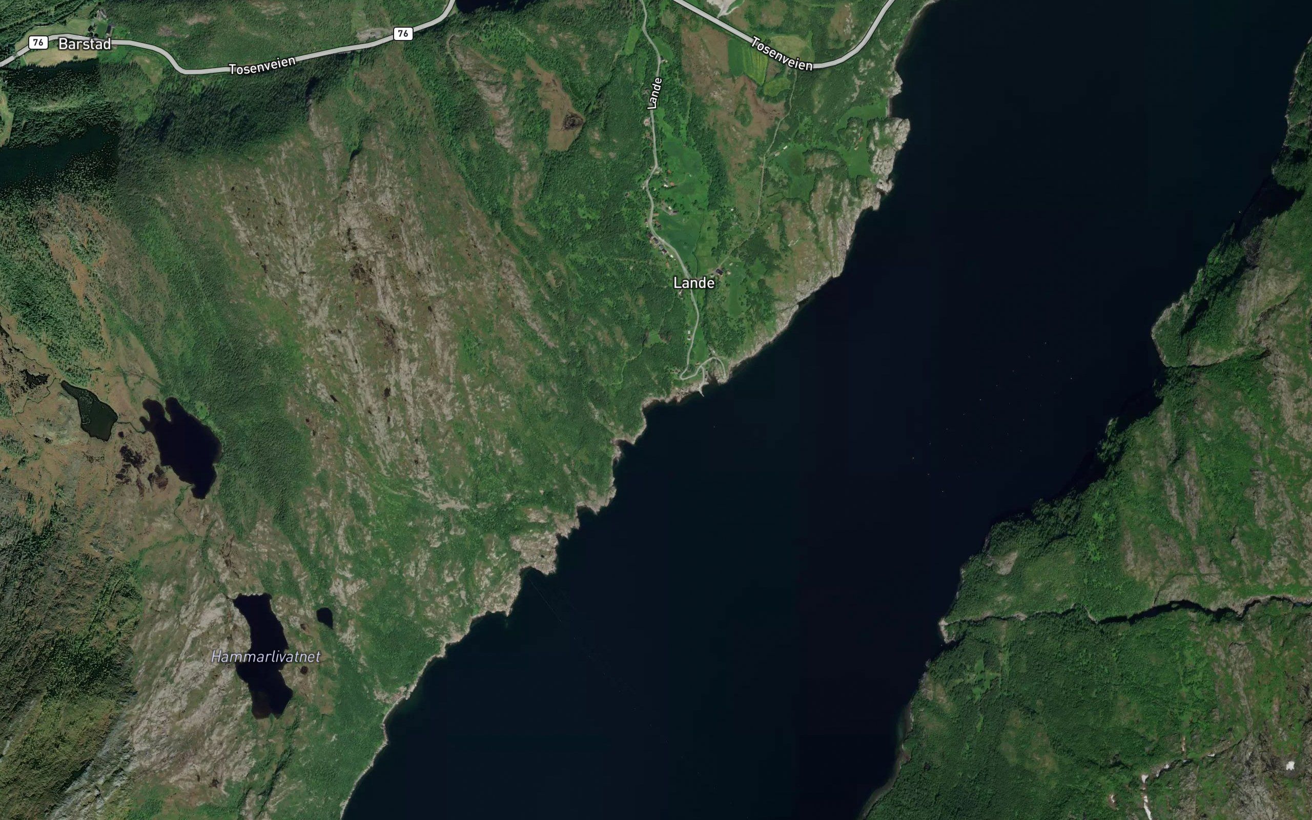 Snosvika