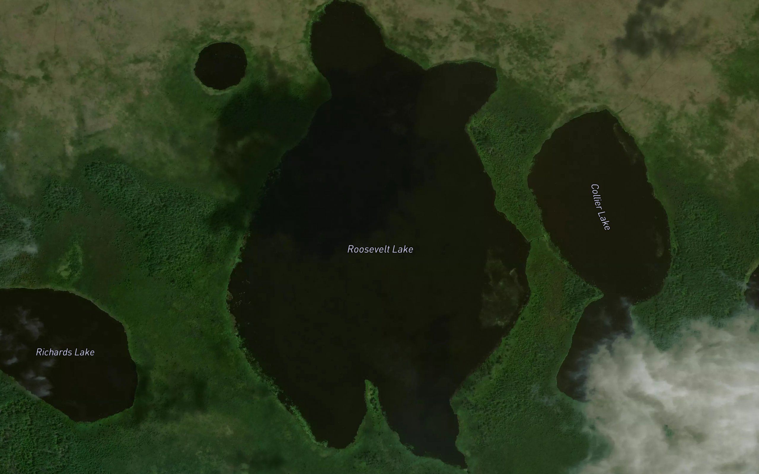 Roosevelt Lake
