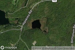 Mud Pond