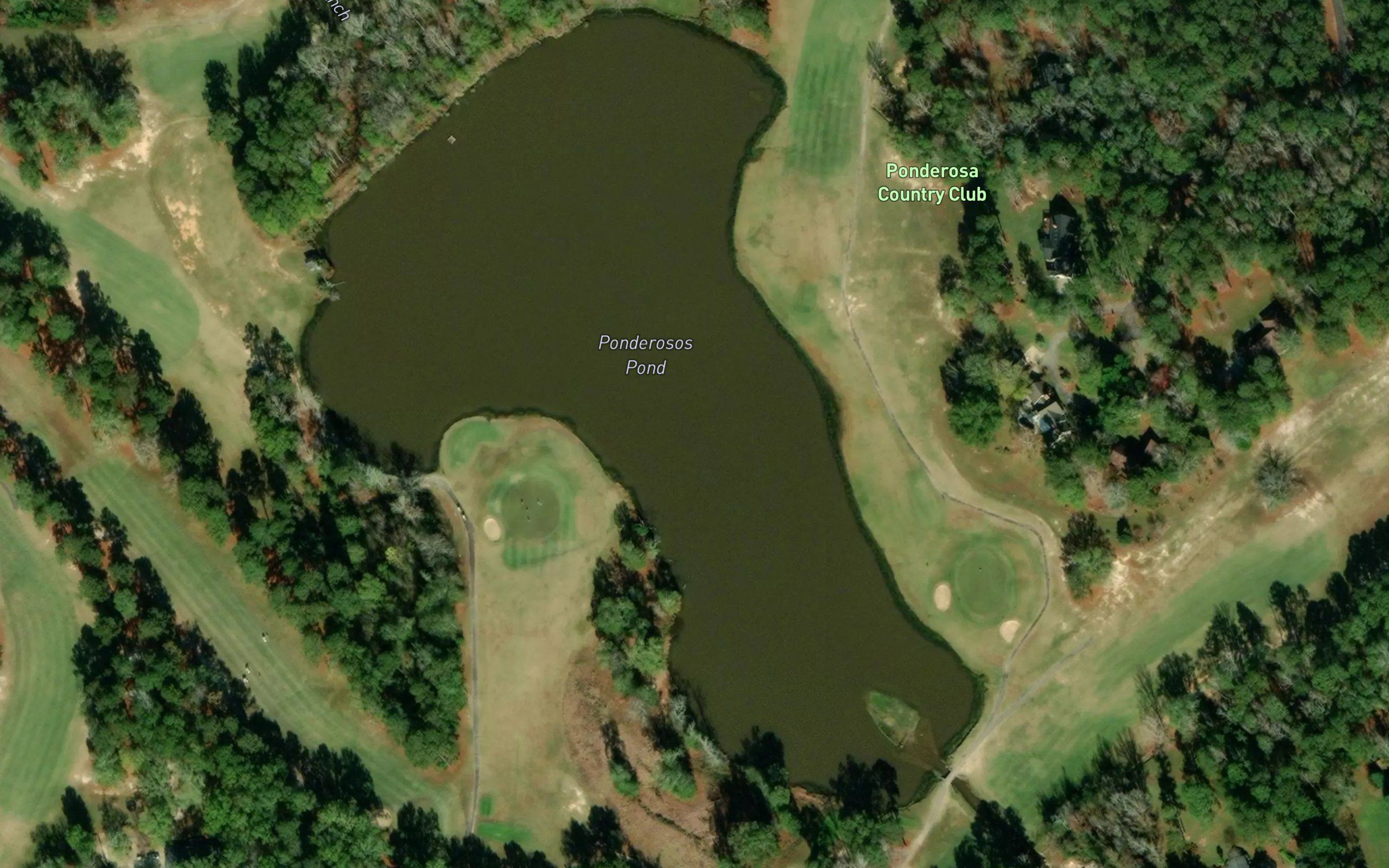Ponderosos Pond