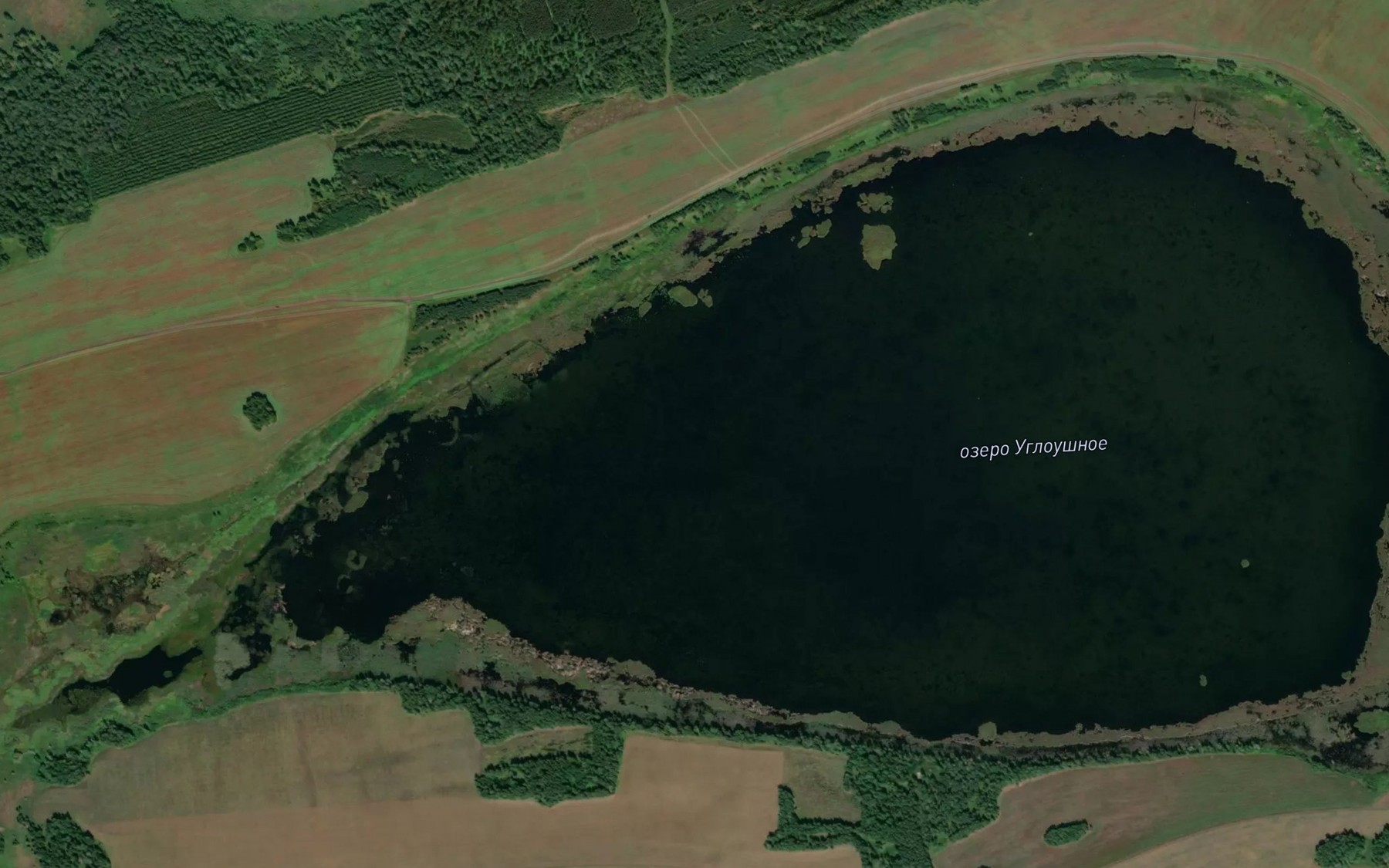 Satellite map of the Ozero Ugloushnoye