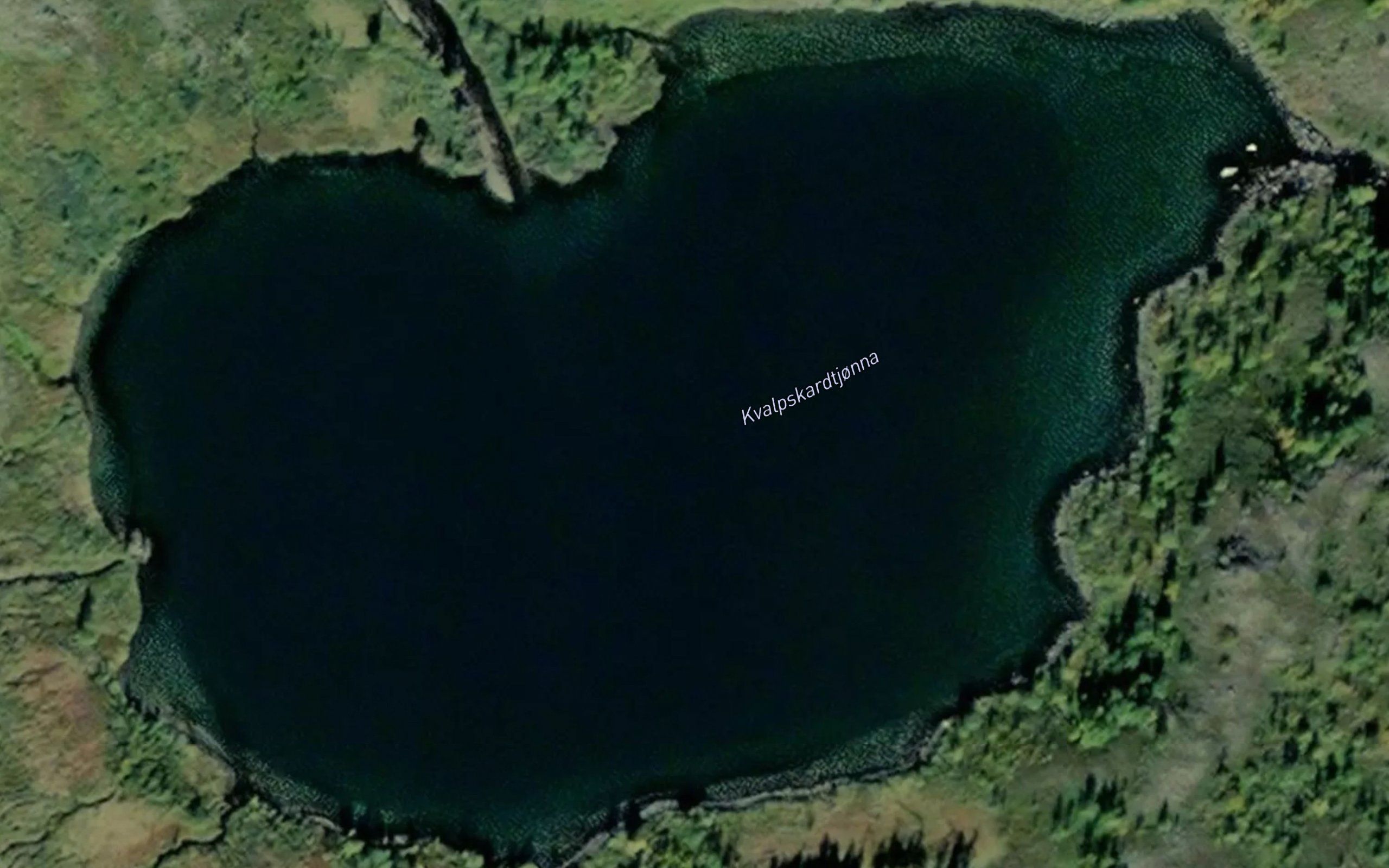 Kvalpskardtjorna
