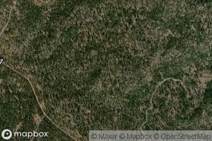 Buck Wildlife Guzzler