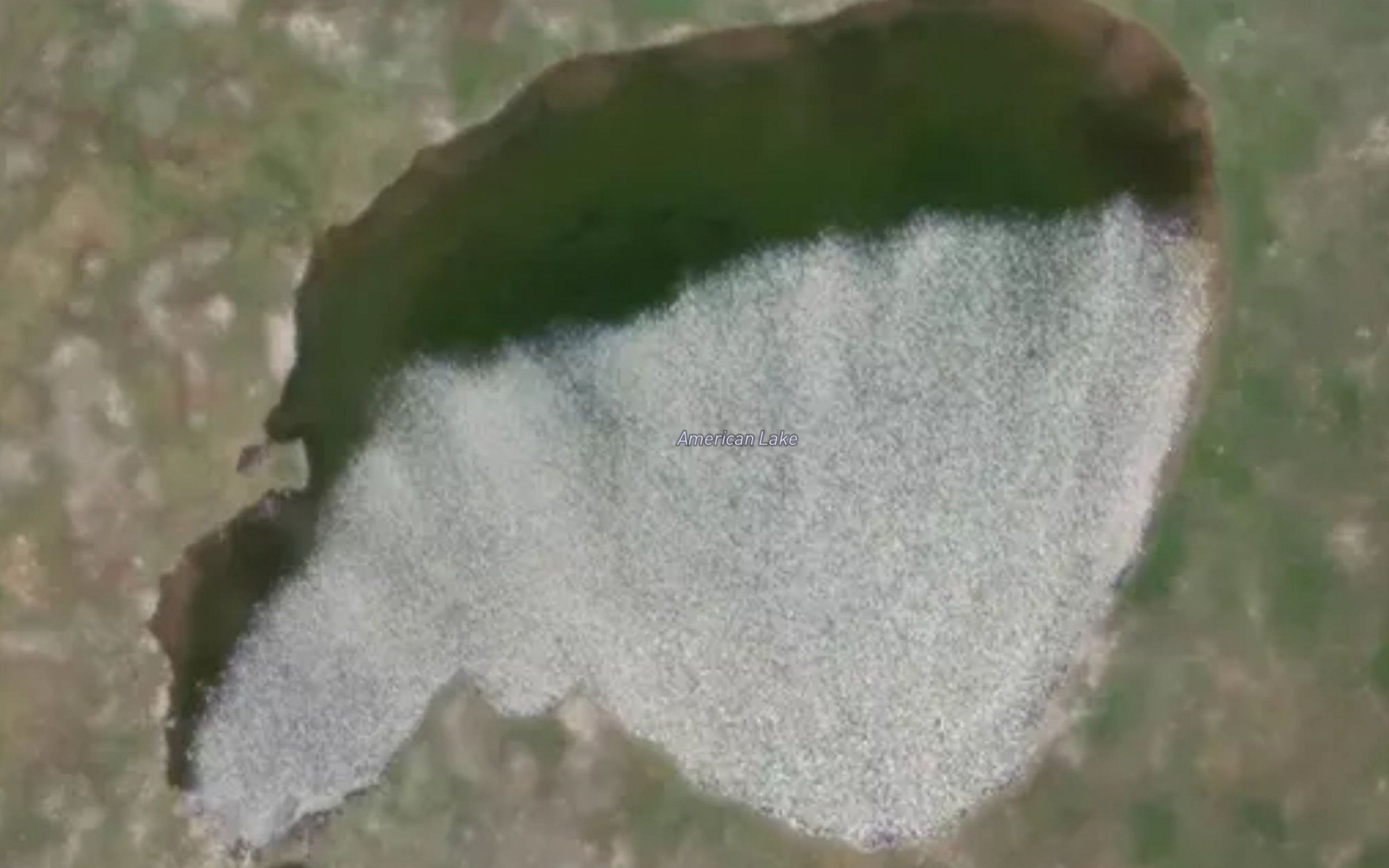 American Lake