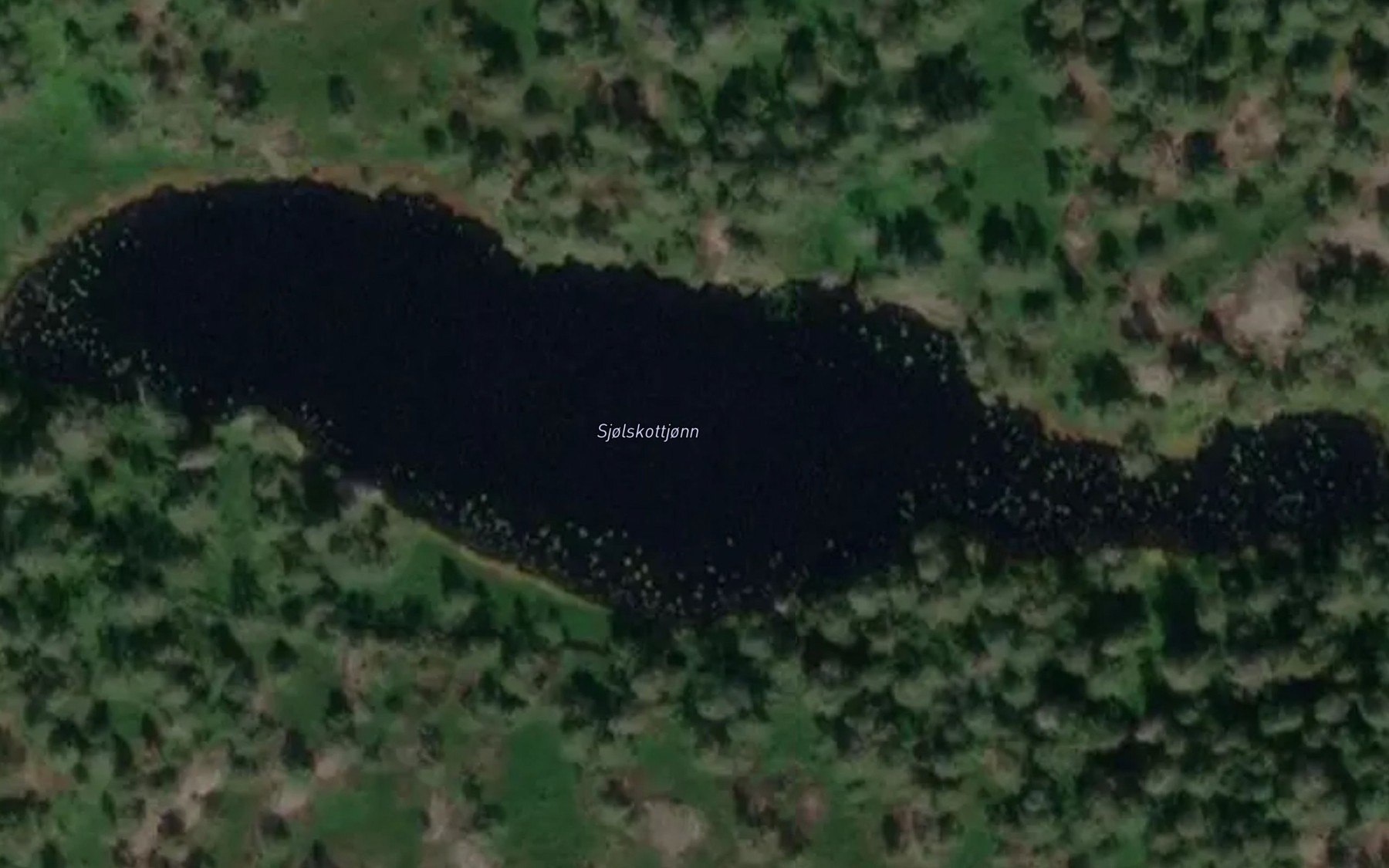 Satellite map of the Sjolskottjonn