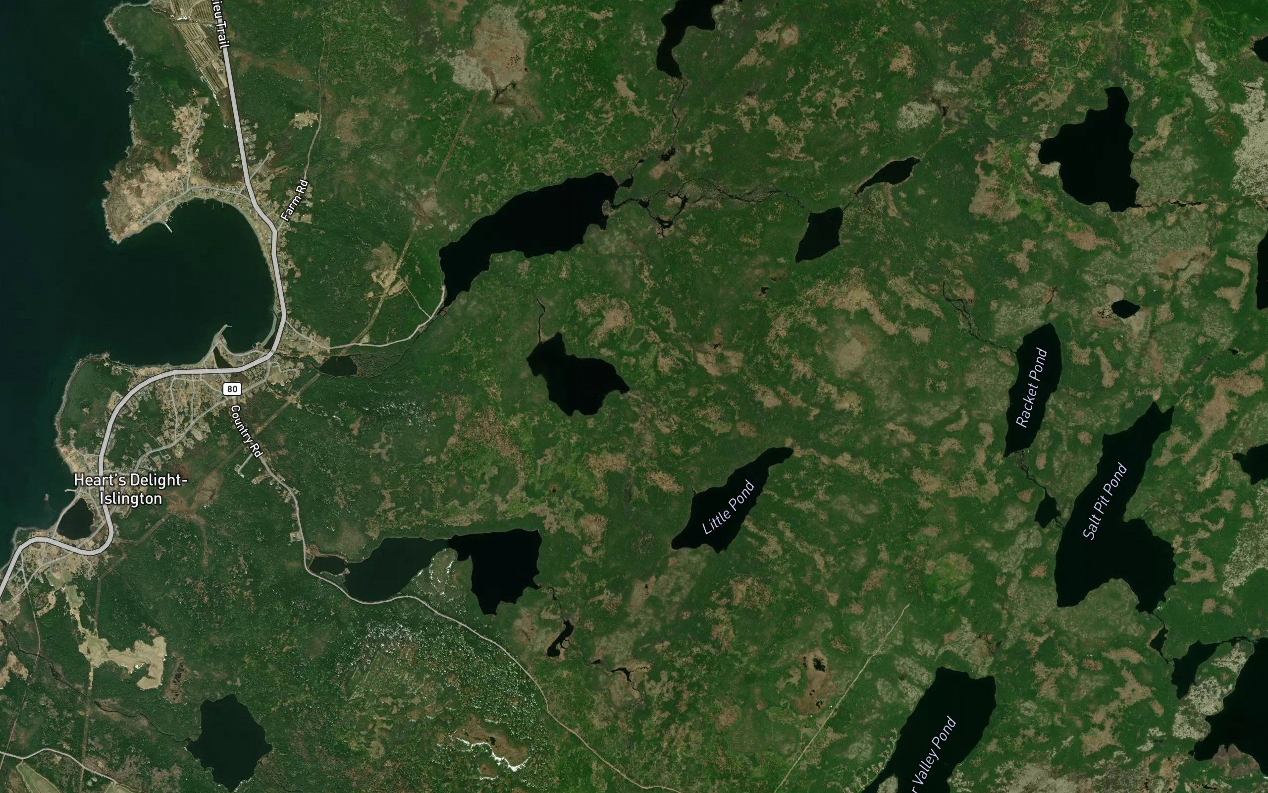Little Pond Brook