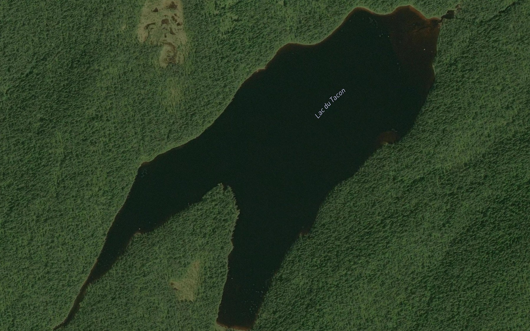 Satellite map of the Lac du Tacon