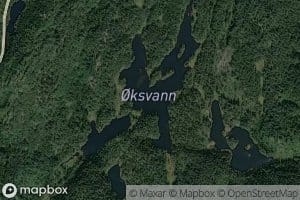 Oksvann