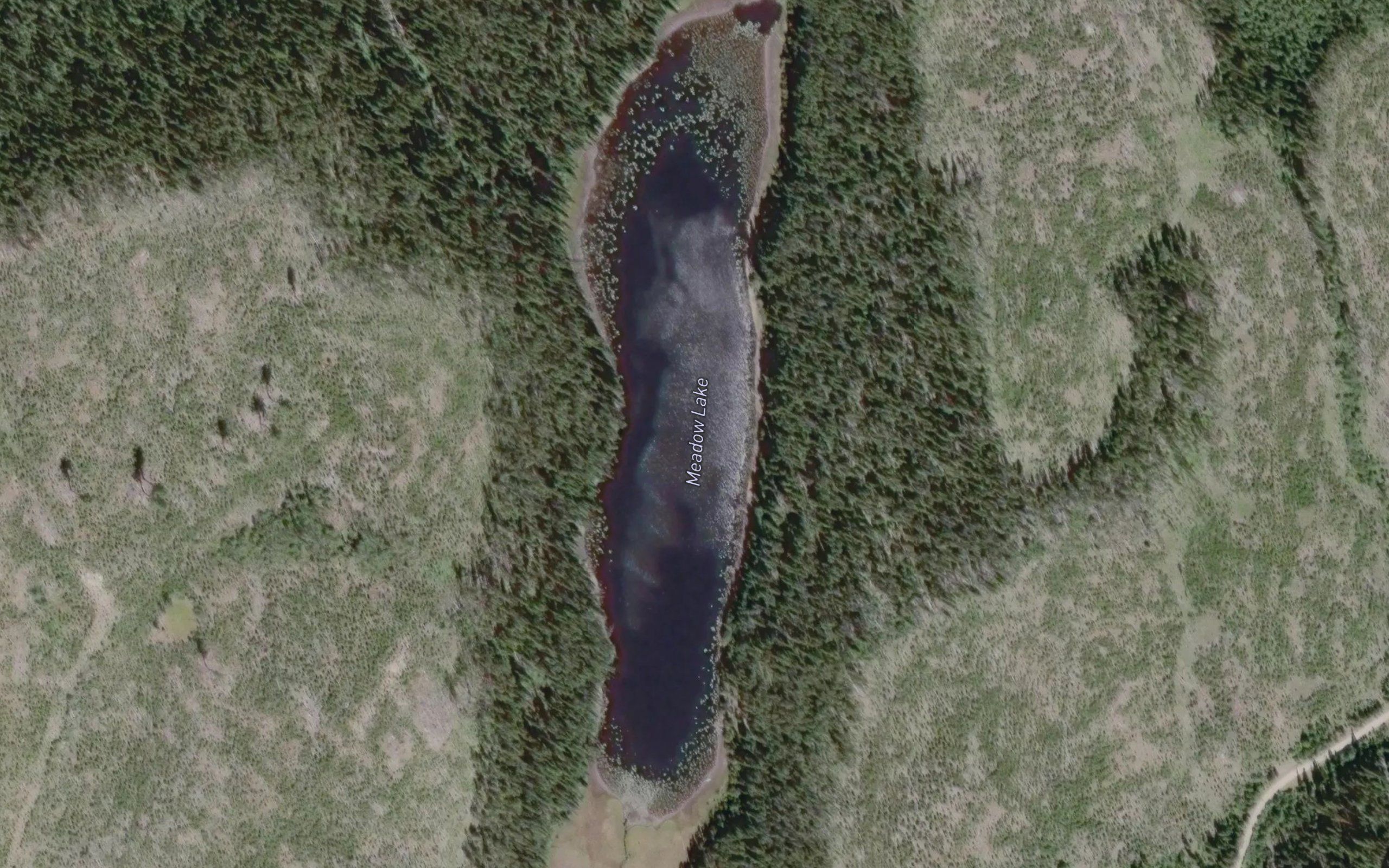 Meadow Lake