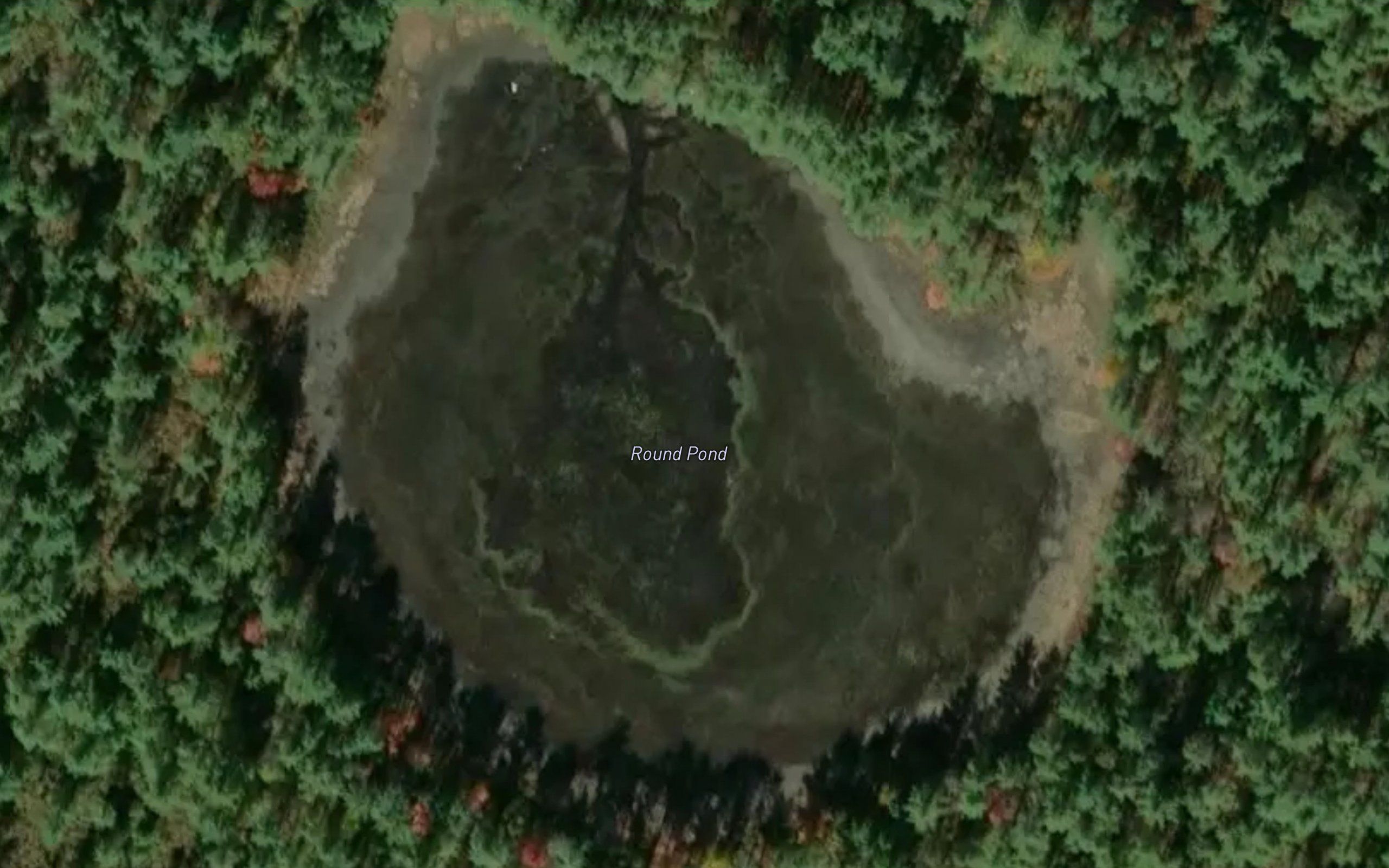 Round Pond