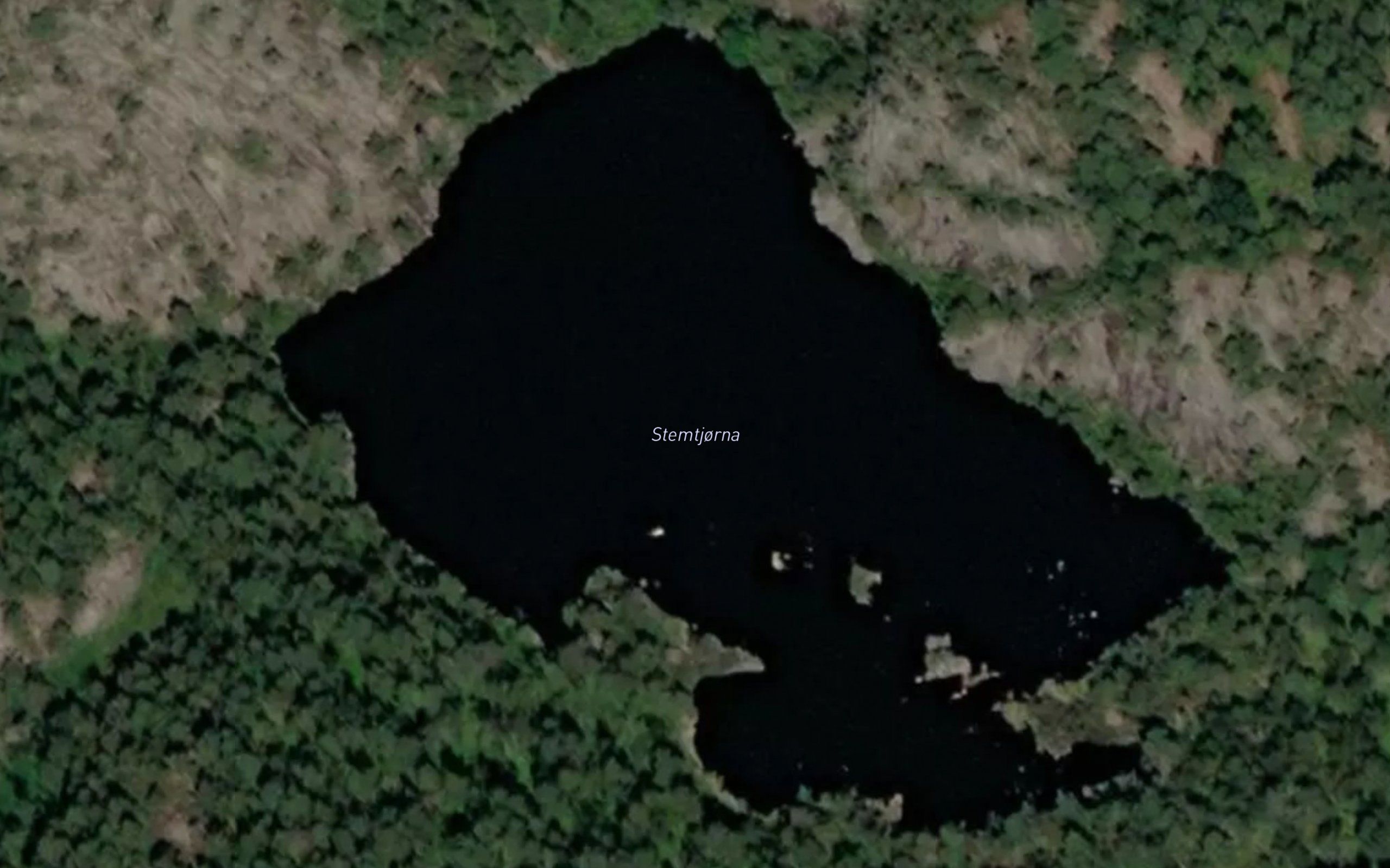 Stemtjorna