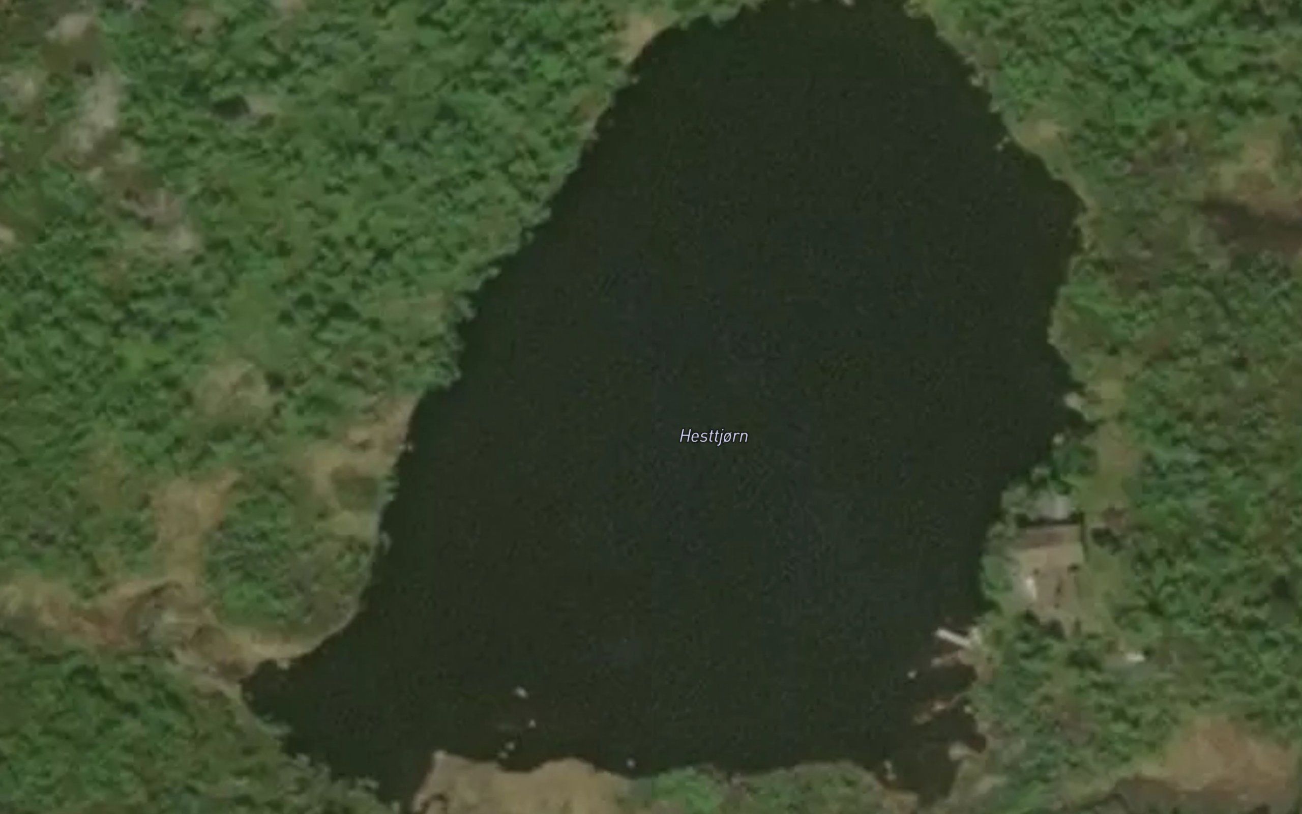 Hesttjorn