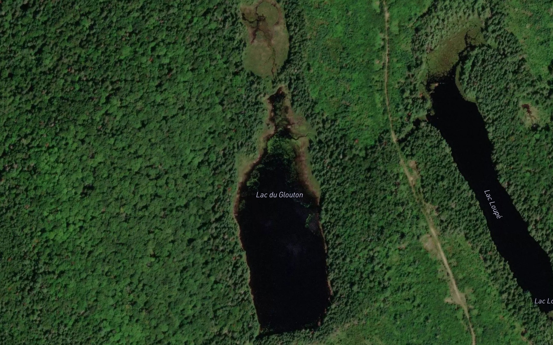 Satellite map of the Lac du Glouton