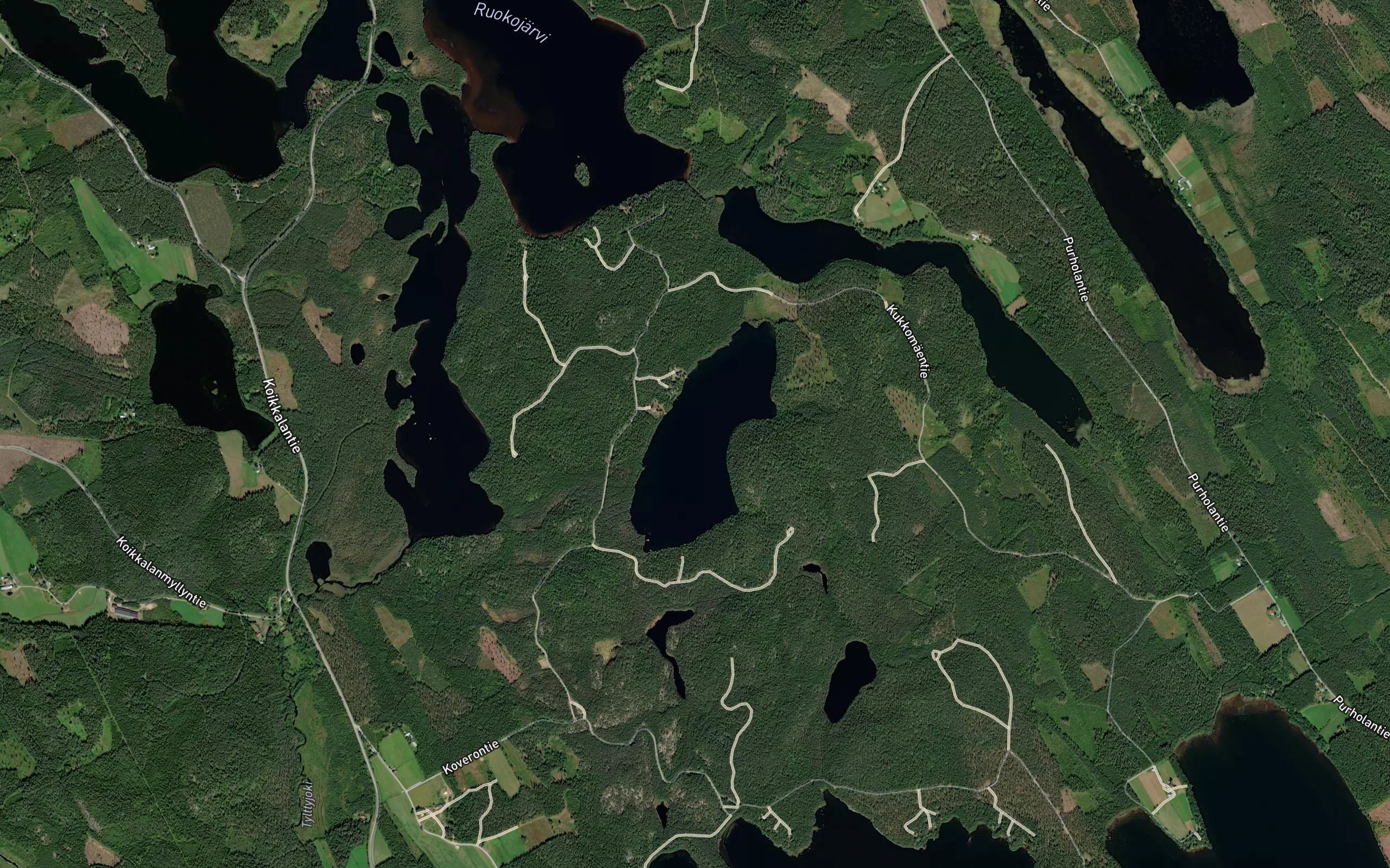 Haukilampi