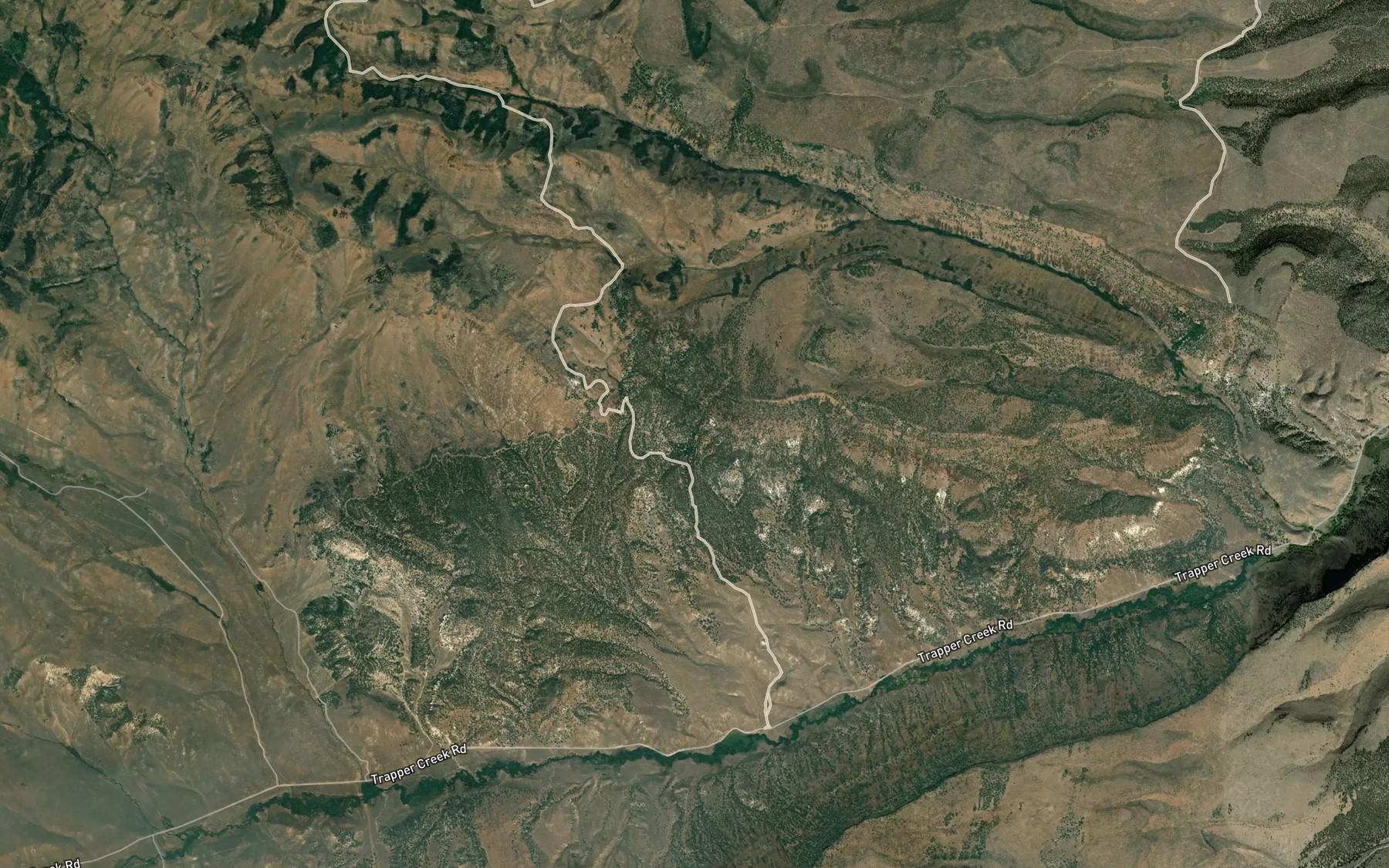 Satellite map of the Birch Spring