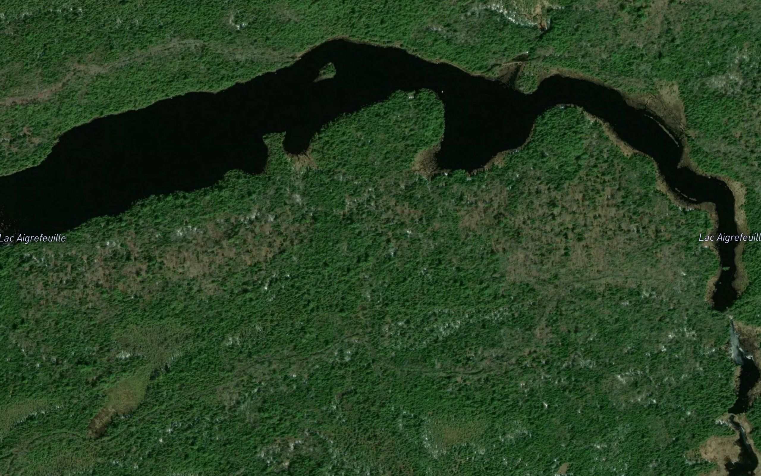 Lac Aigrefeuille