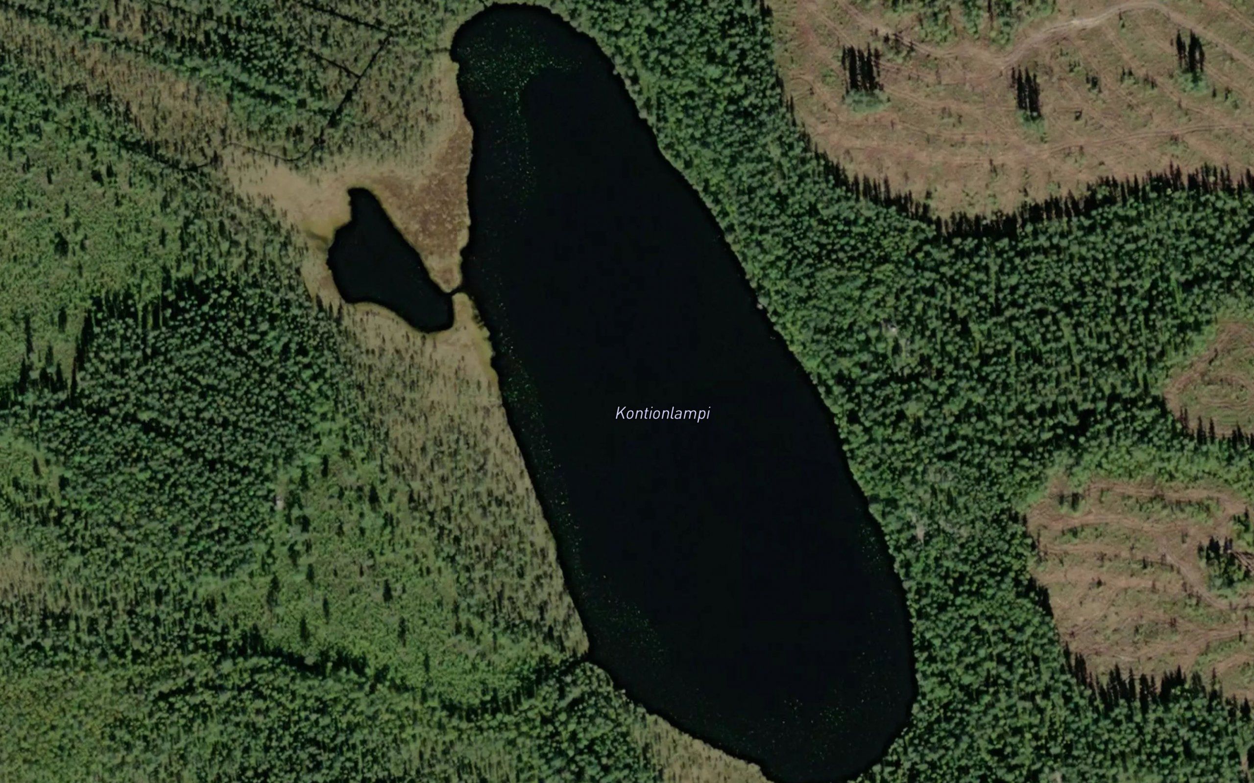 Kontiolampi