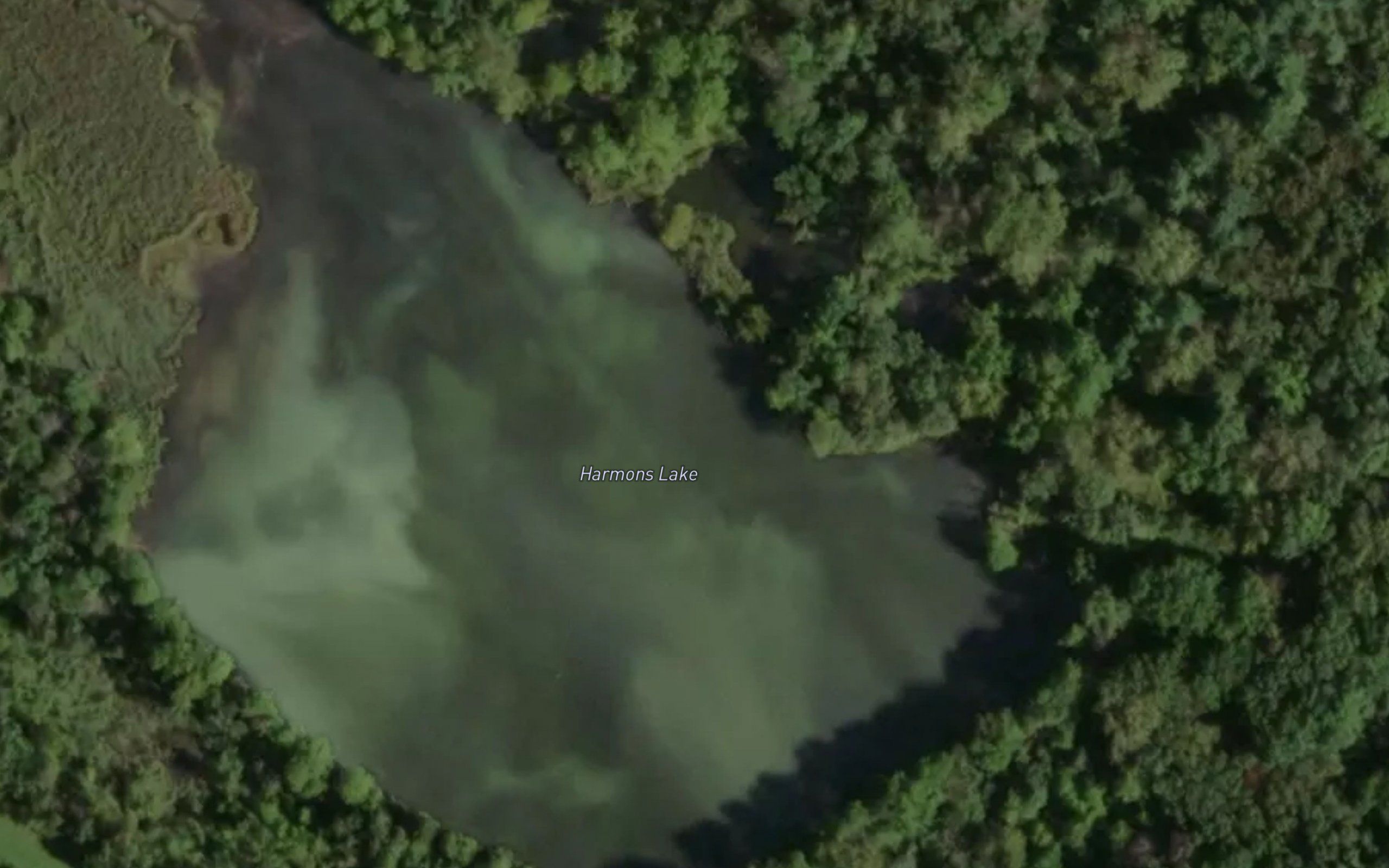Harmons Lake