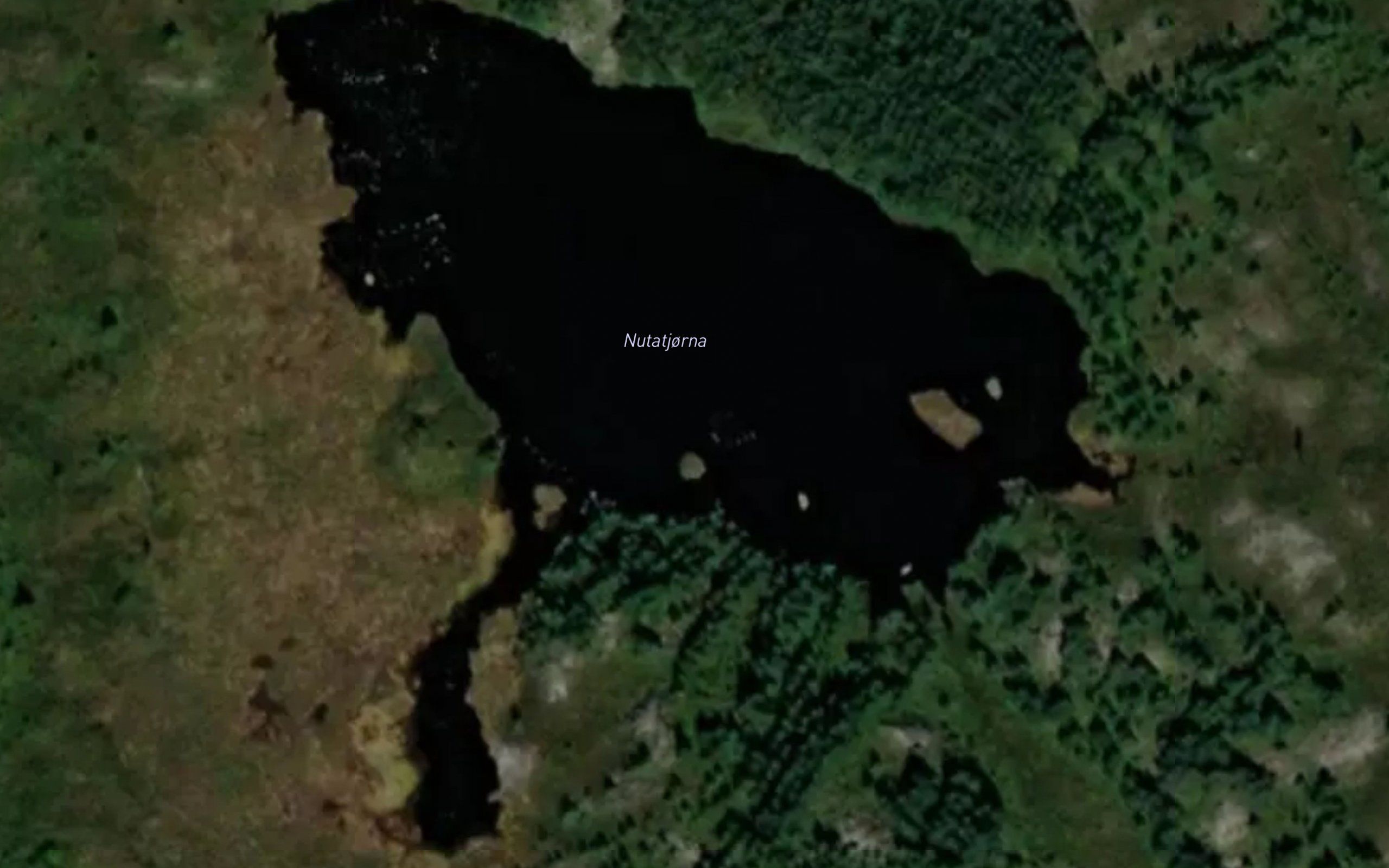 Nutatjorna