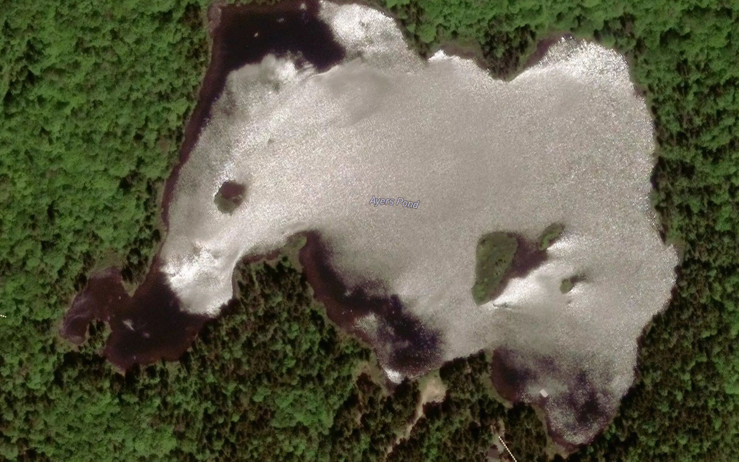 Ayers Pond