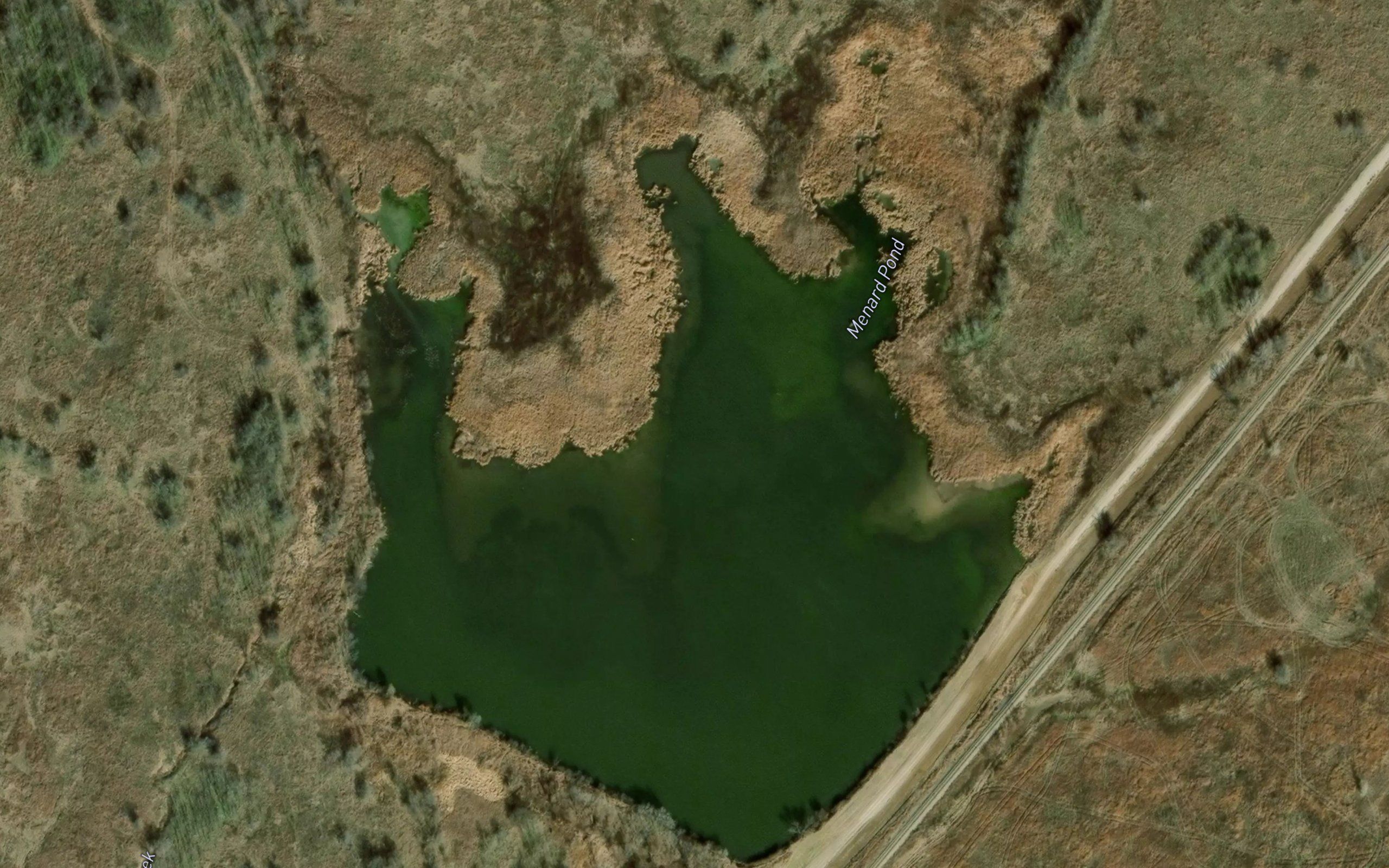 Menard Pond