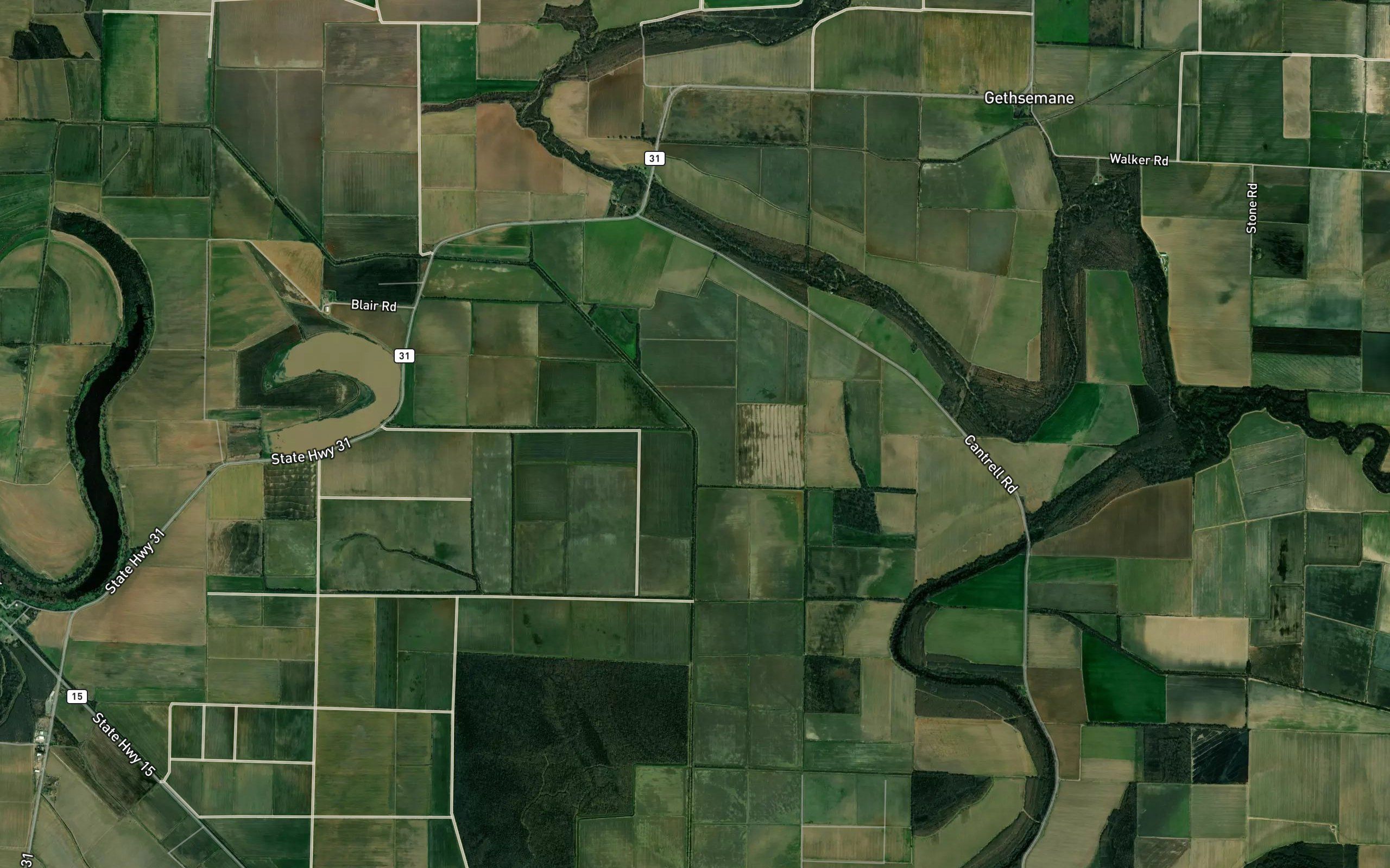 Main Ditch