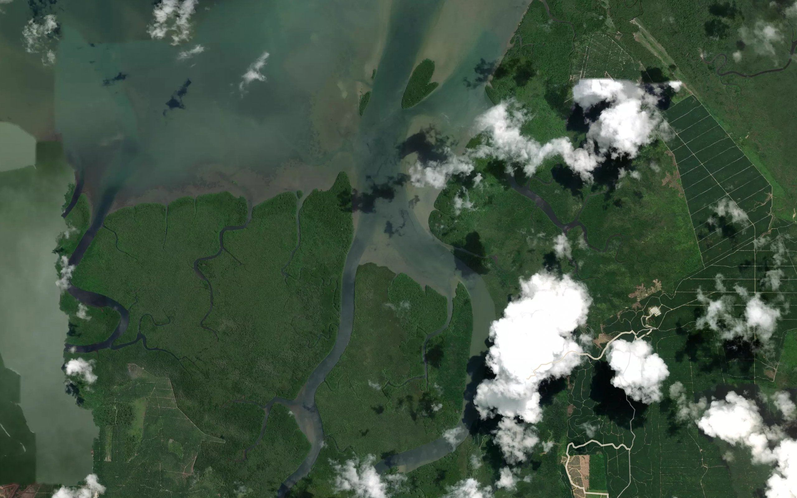 Kuala Paitan