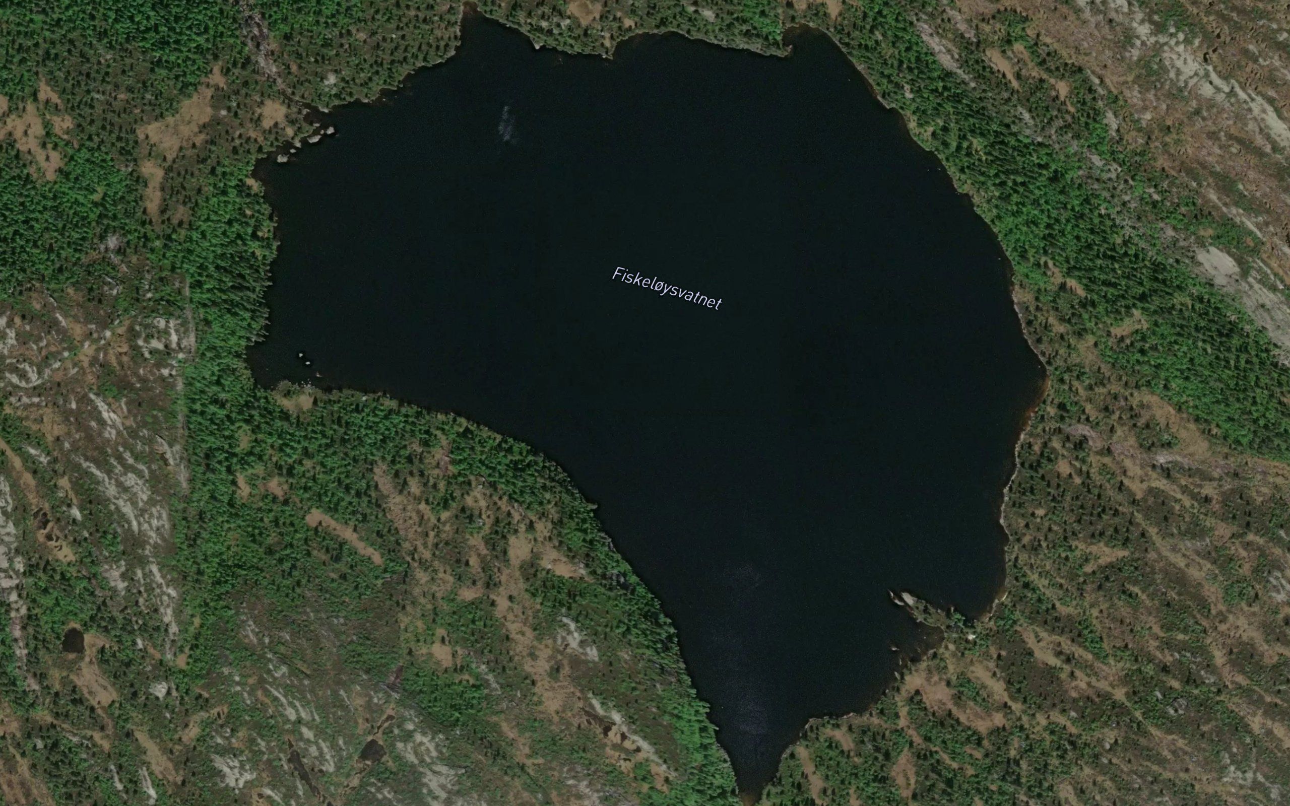 Fiskeloysvatn