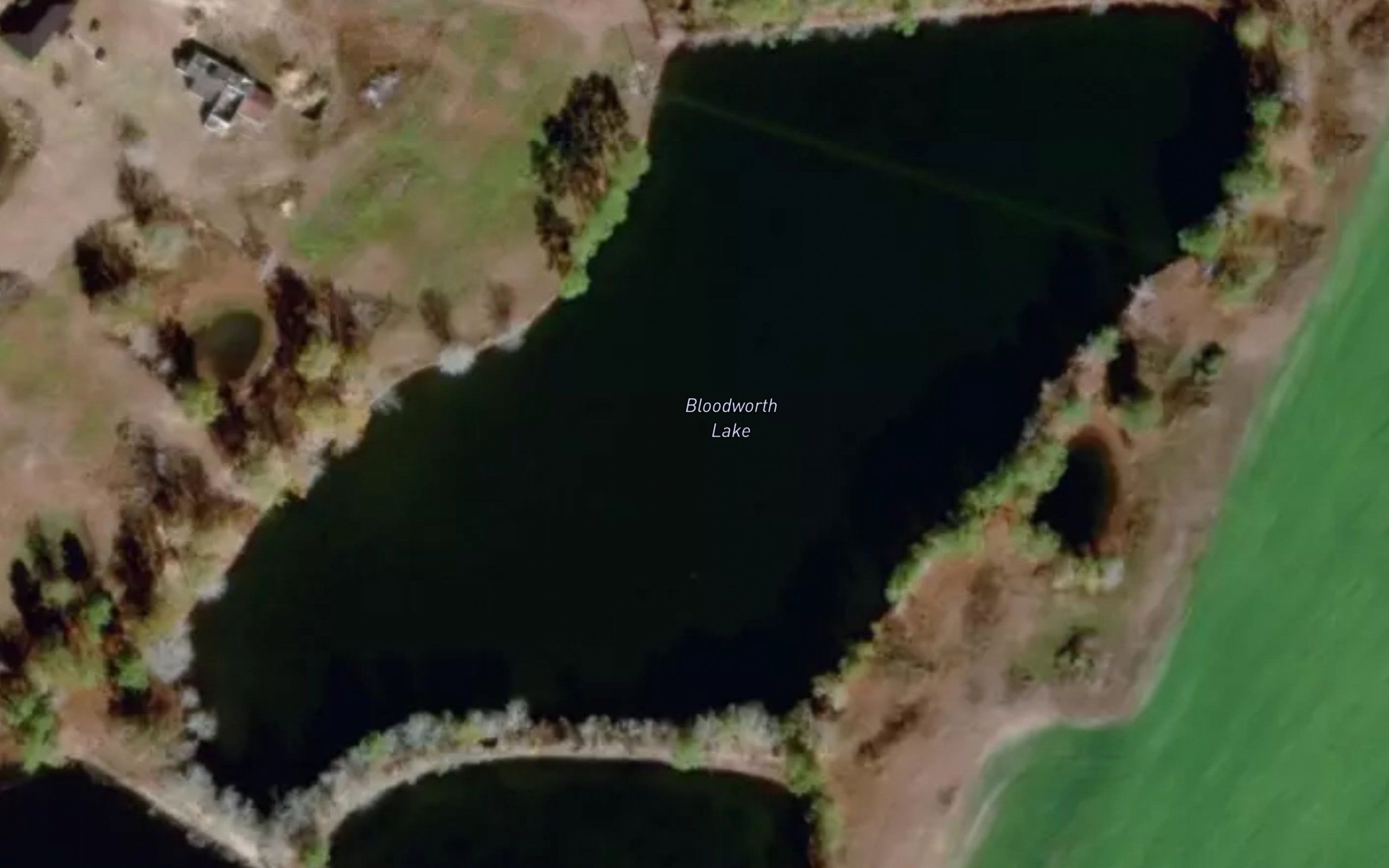 Bloodworth Lake