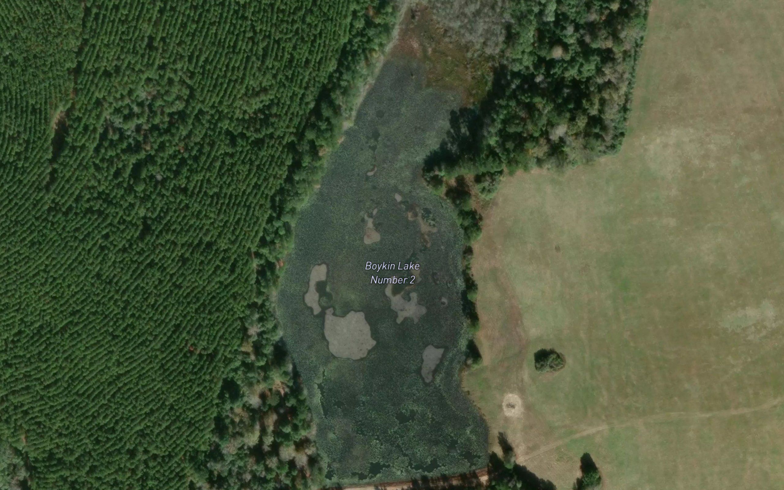 Boykin Lake Number 2