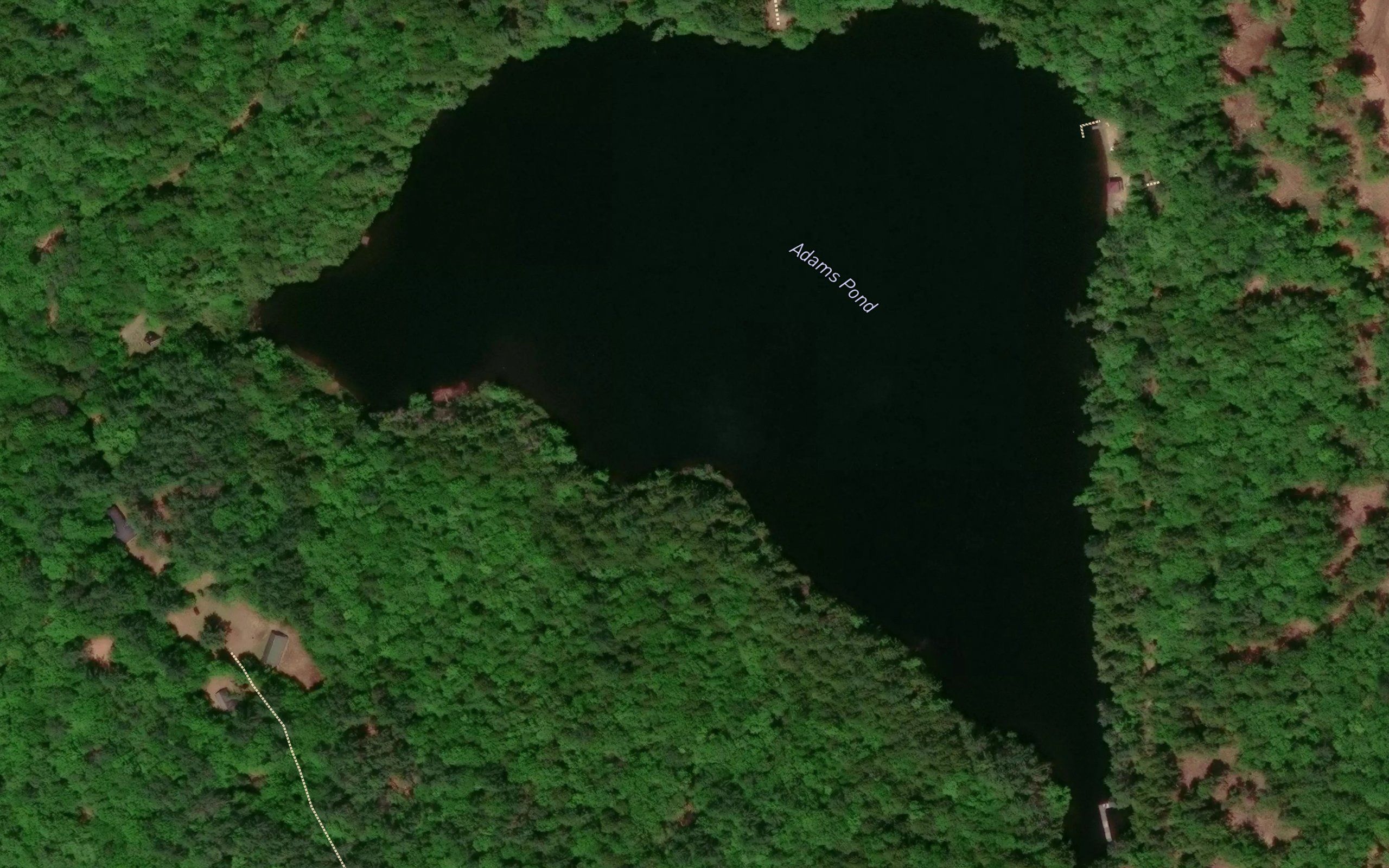 Adams Pond